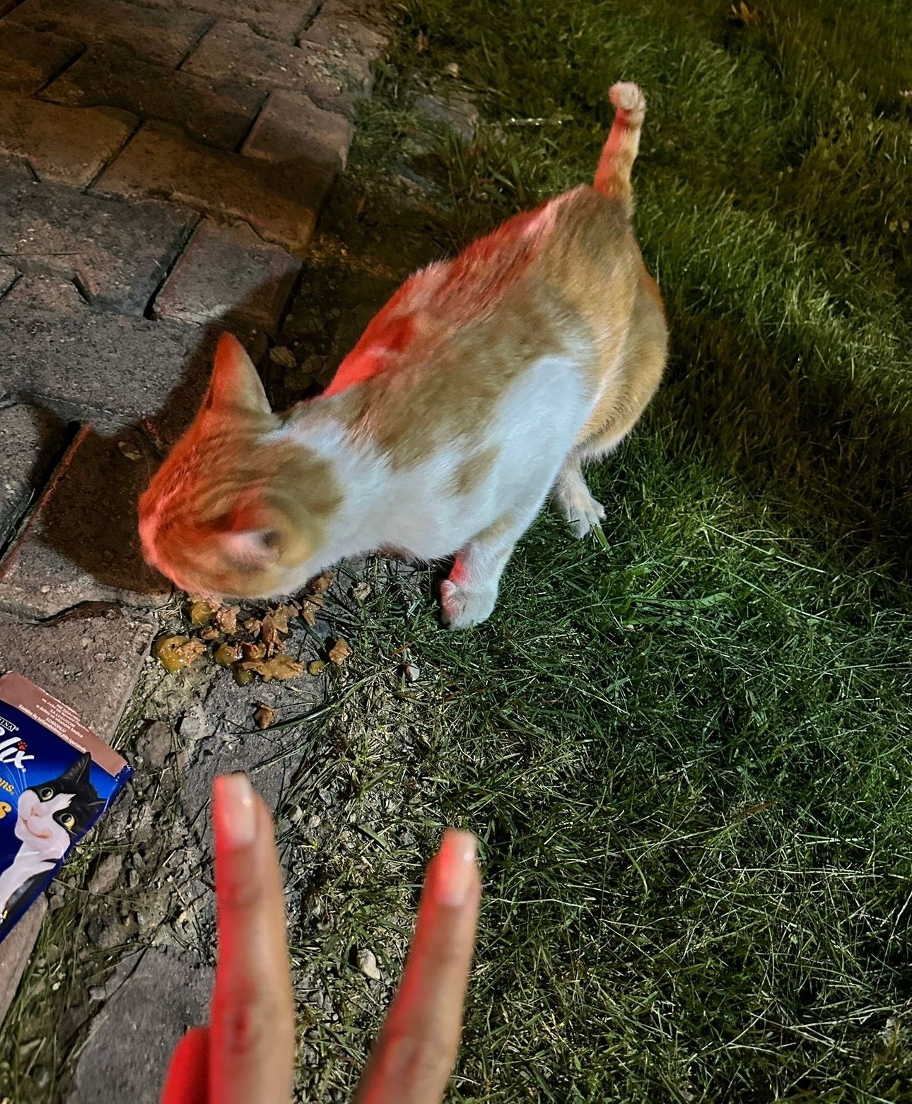 image-7