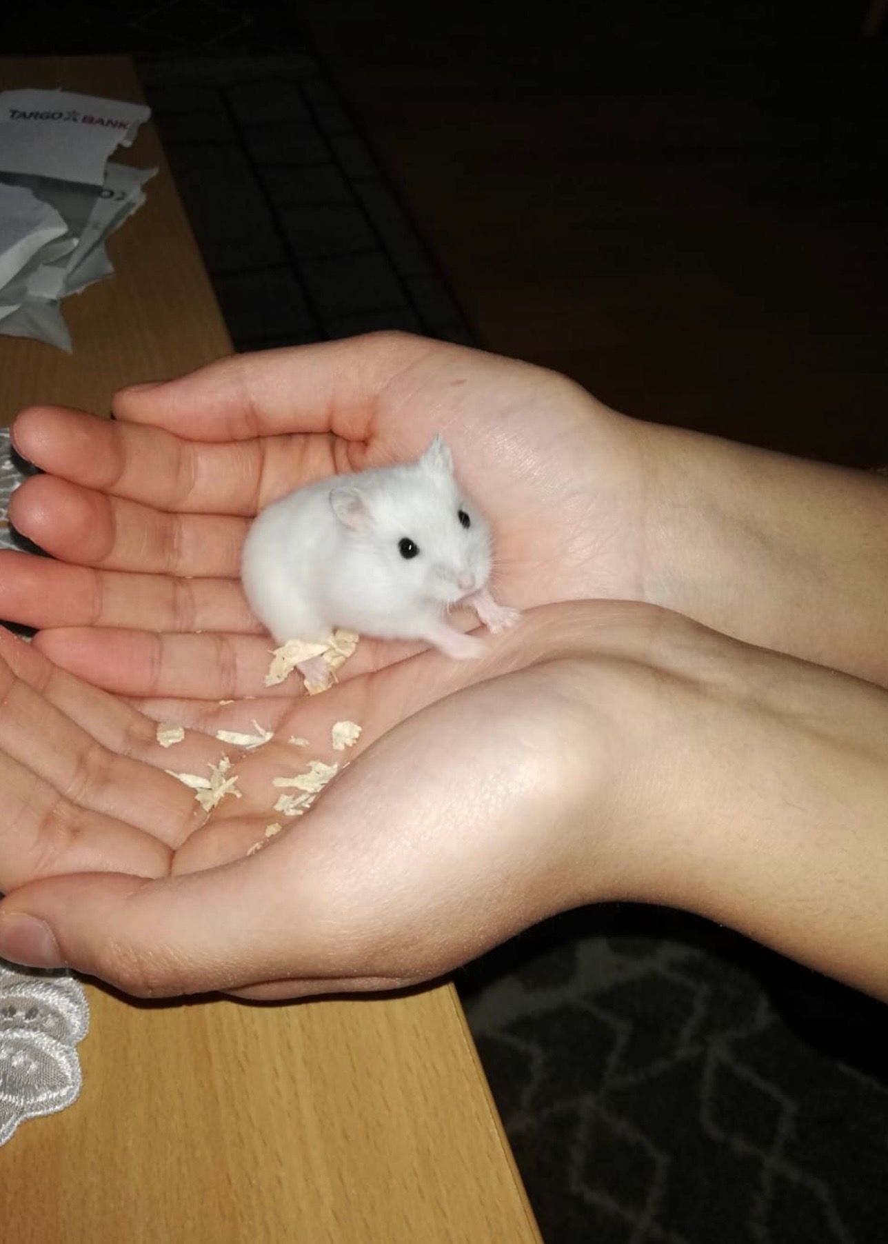 image-8
