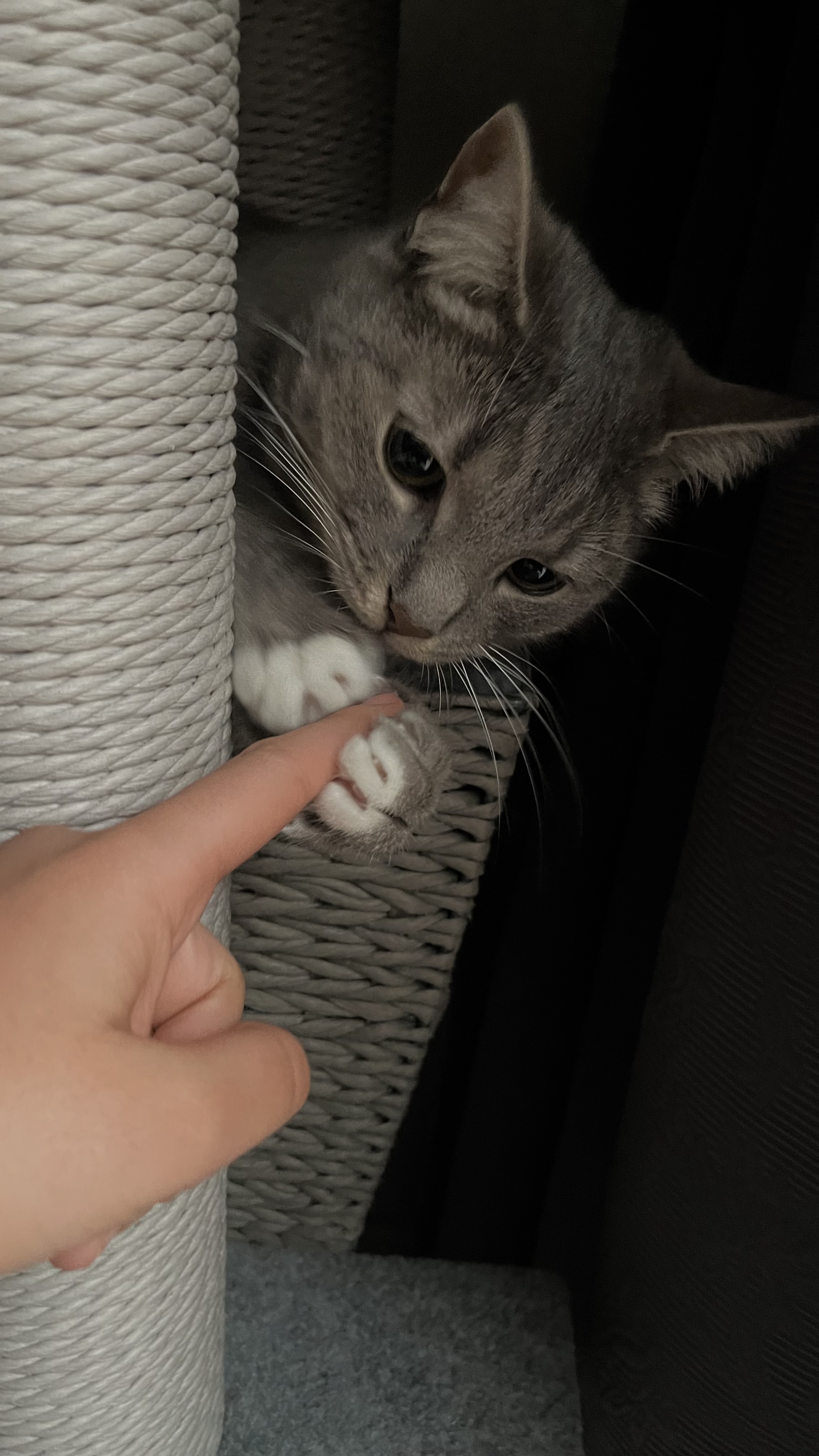 image-8
