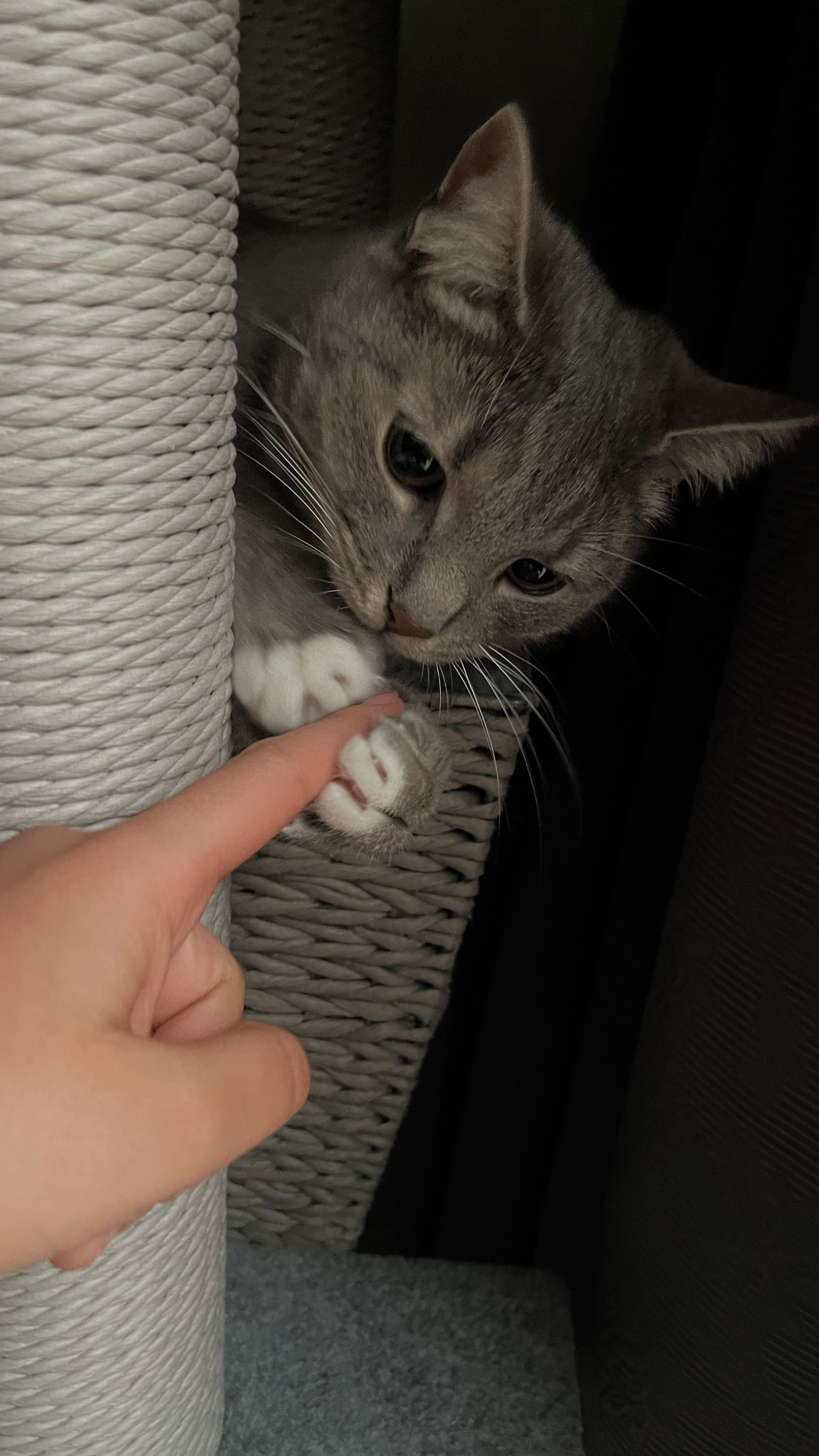 image-8