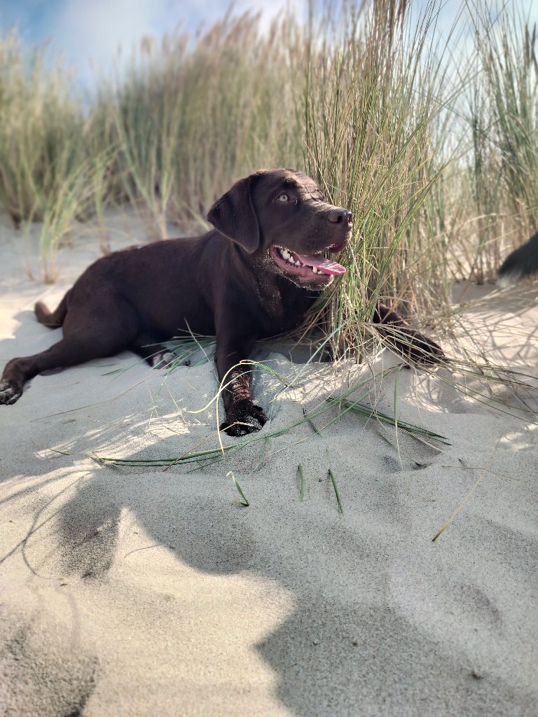 Luca 