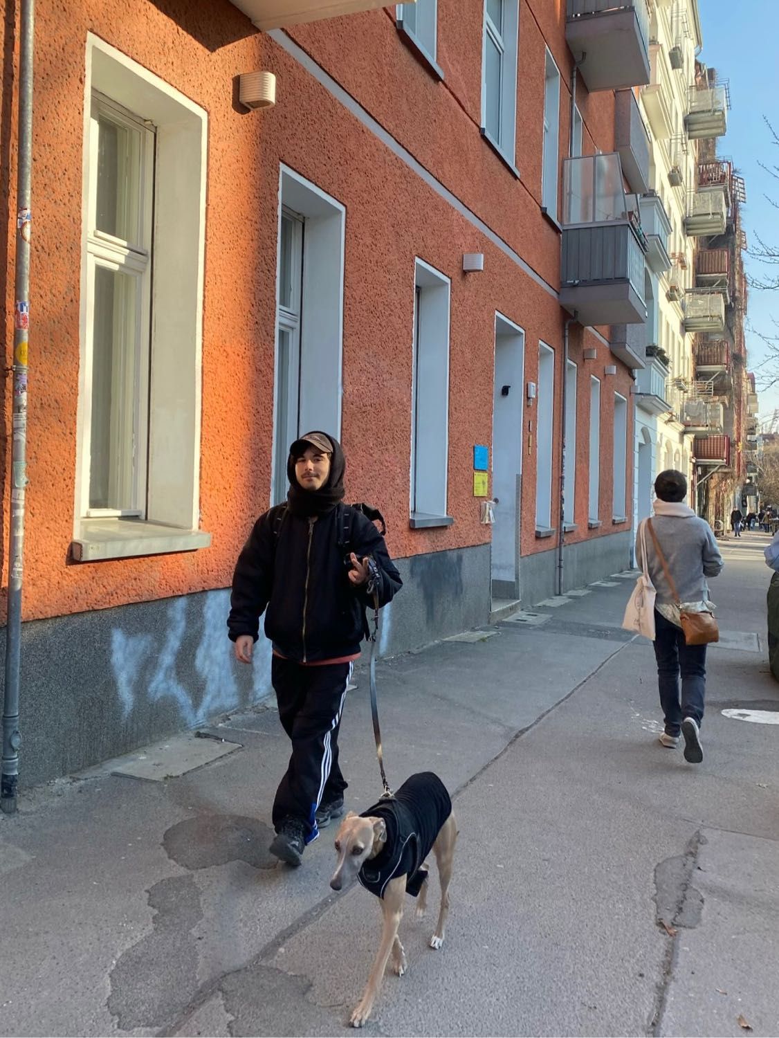 image-7