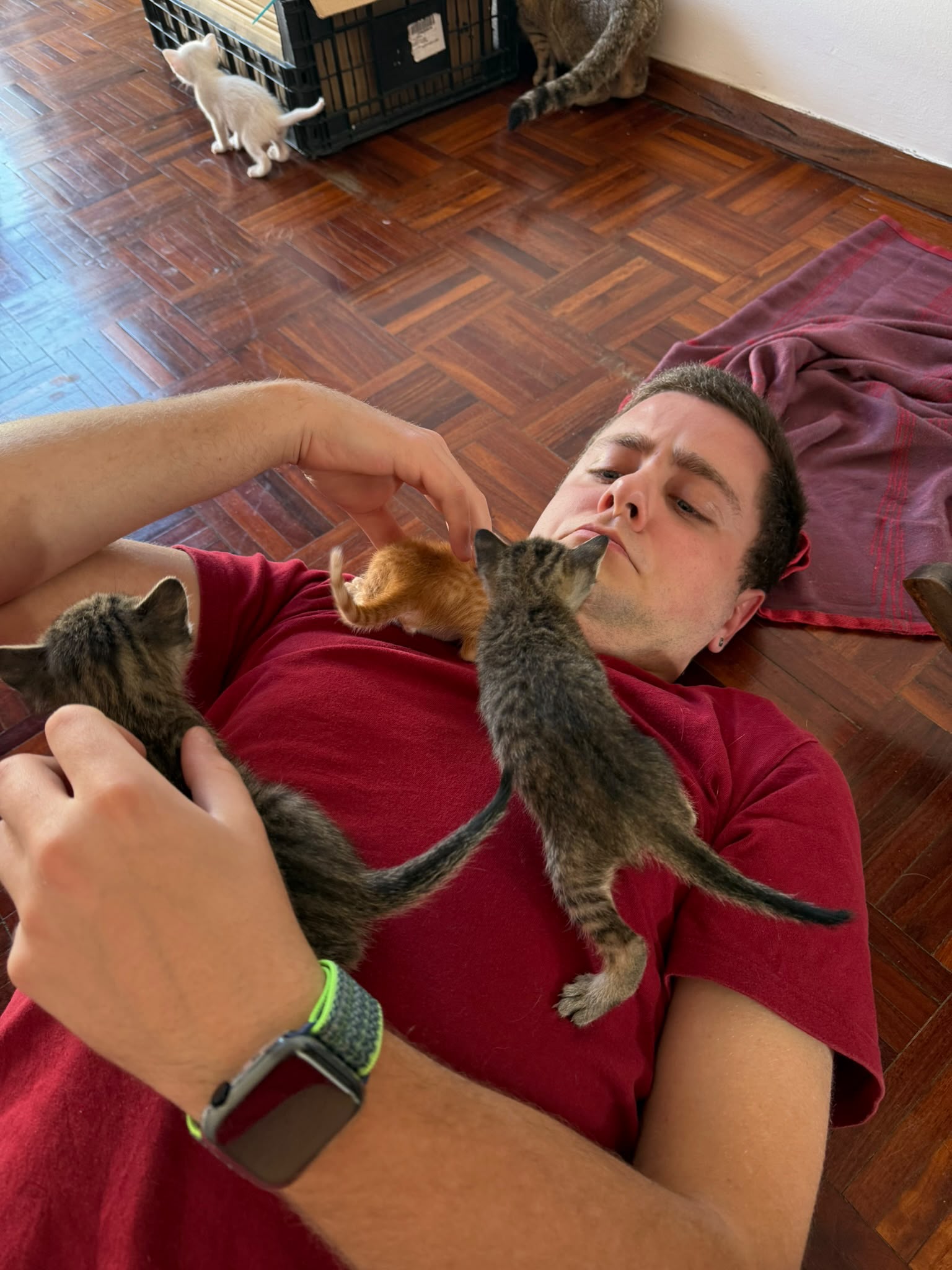 image-4
