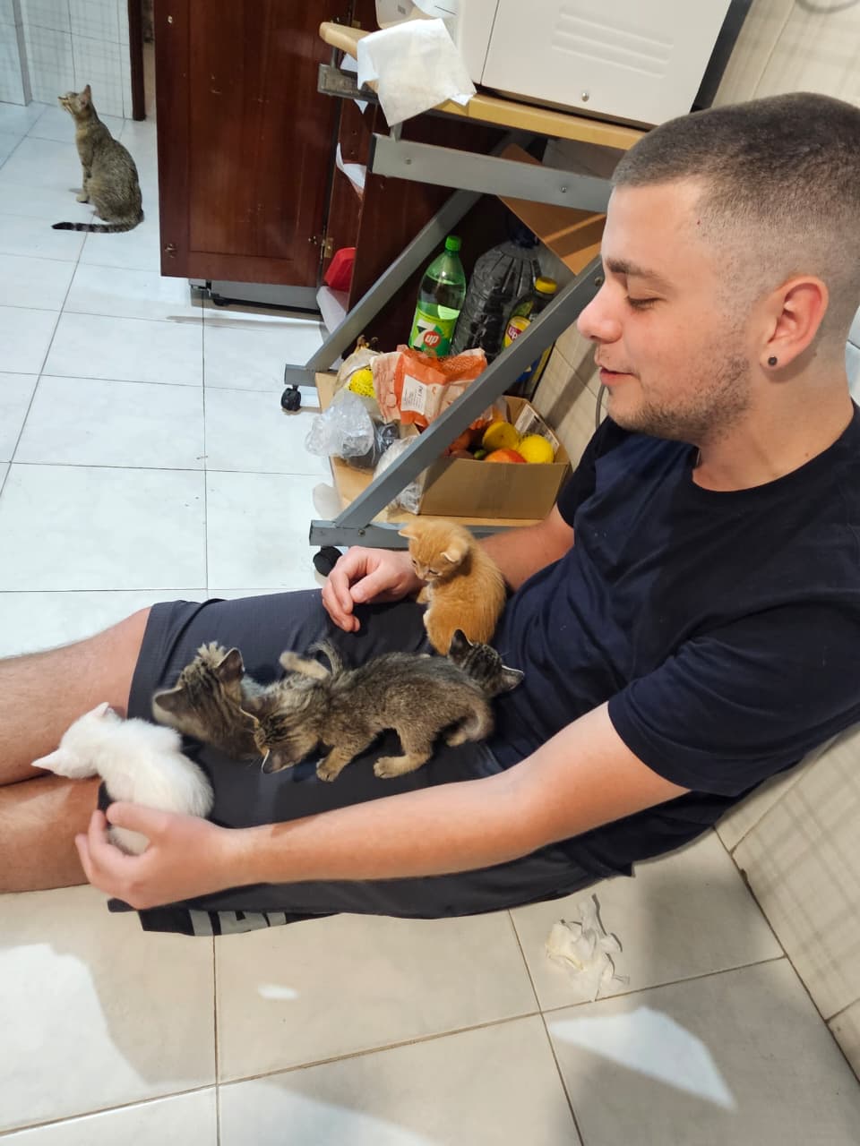 image-5