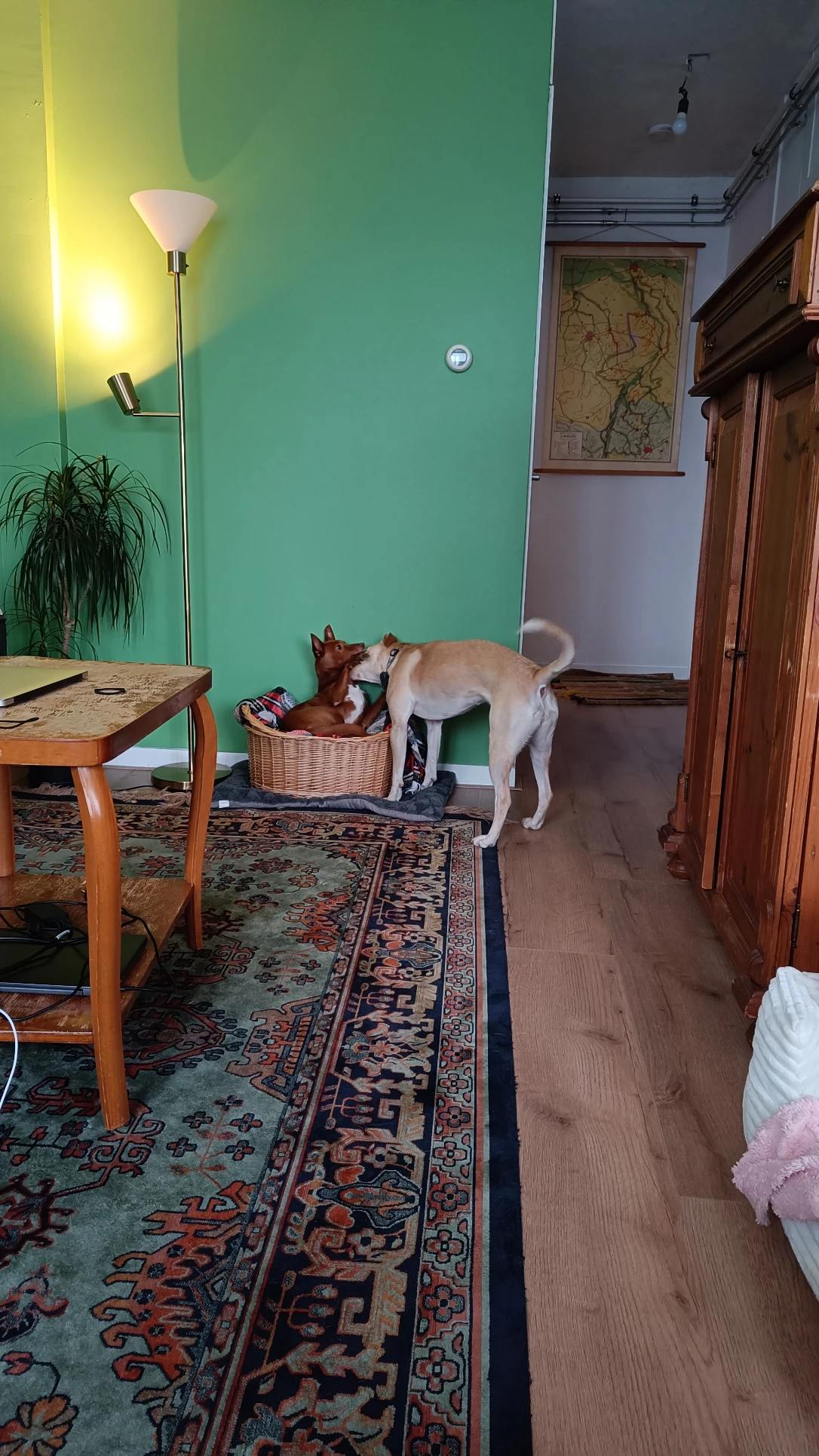image-15