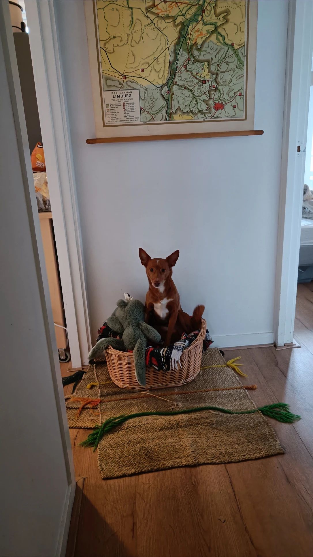 image-14