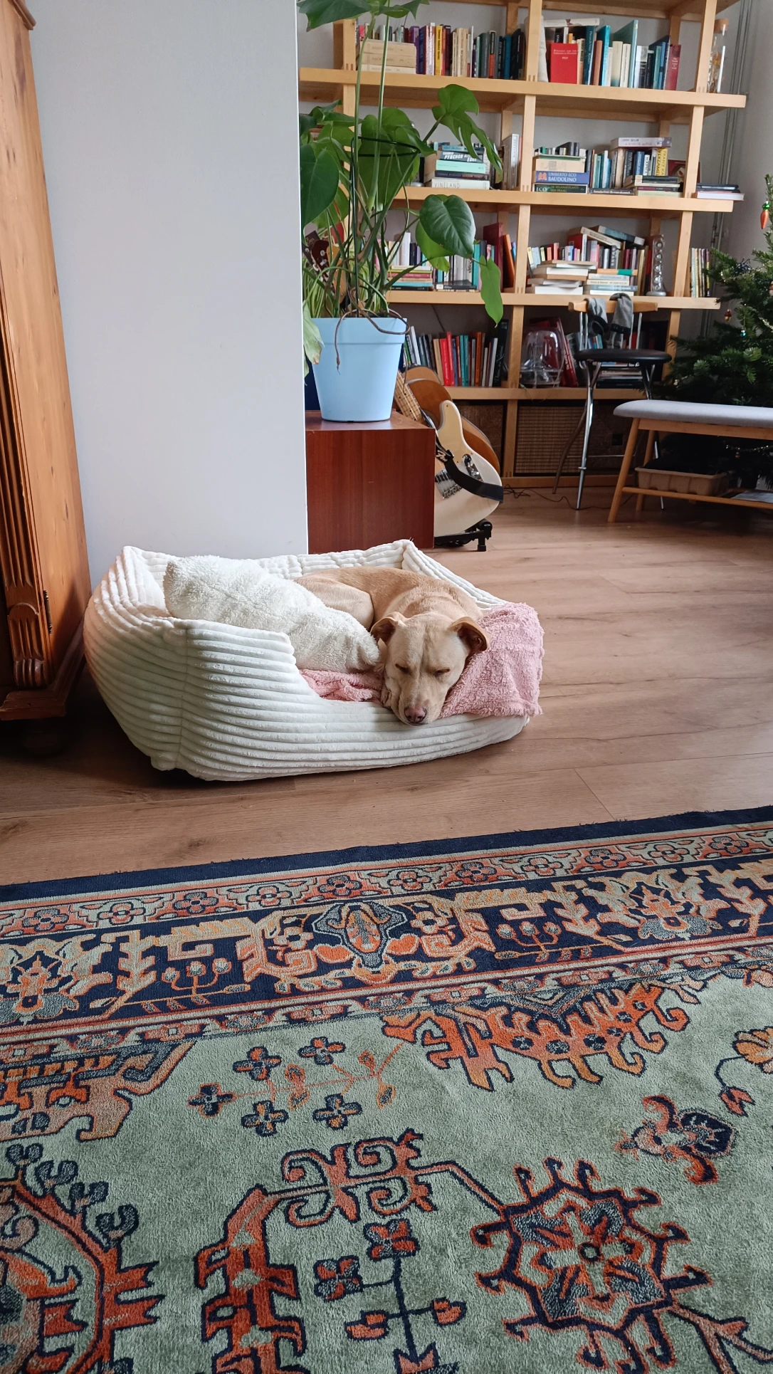 image-18