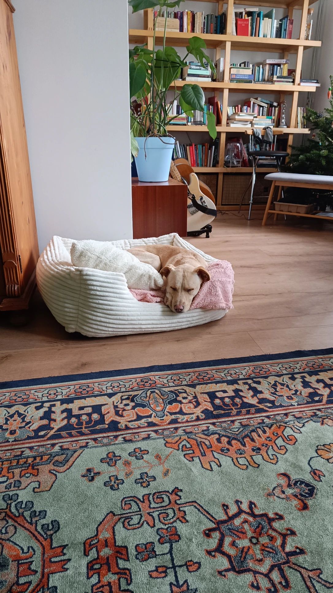 image-18