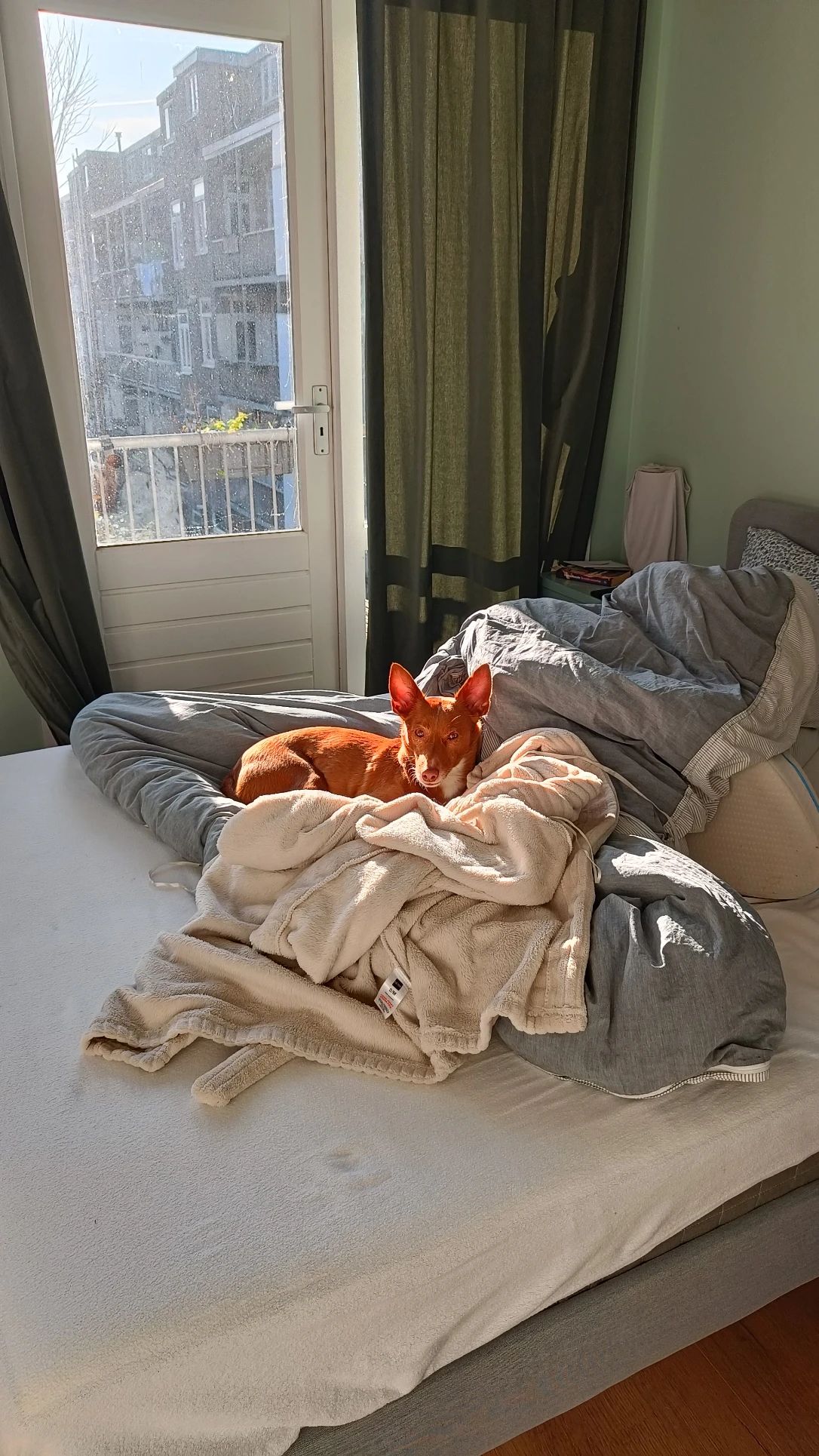 image-19