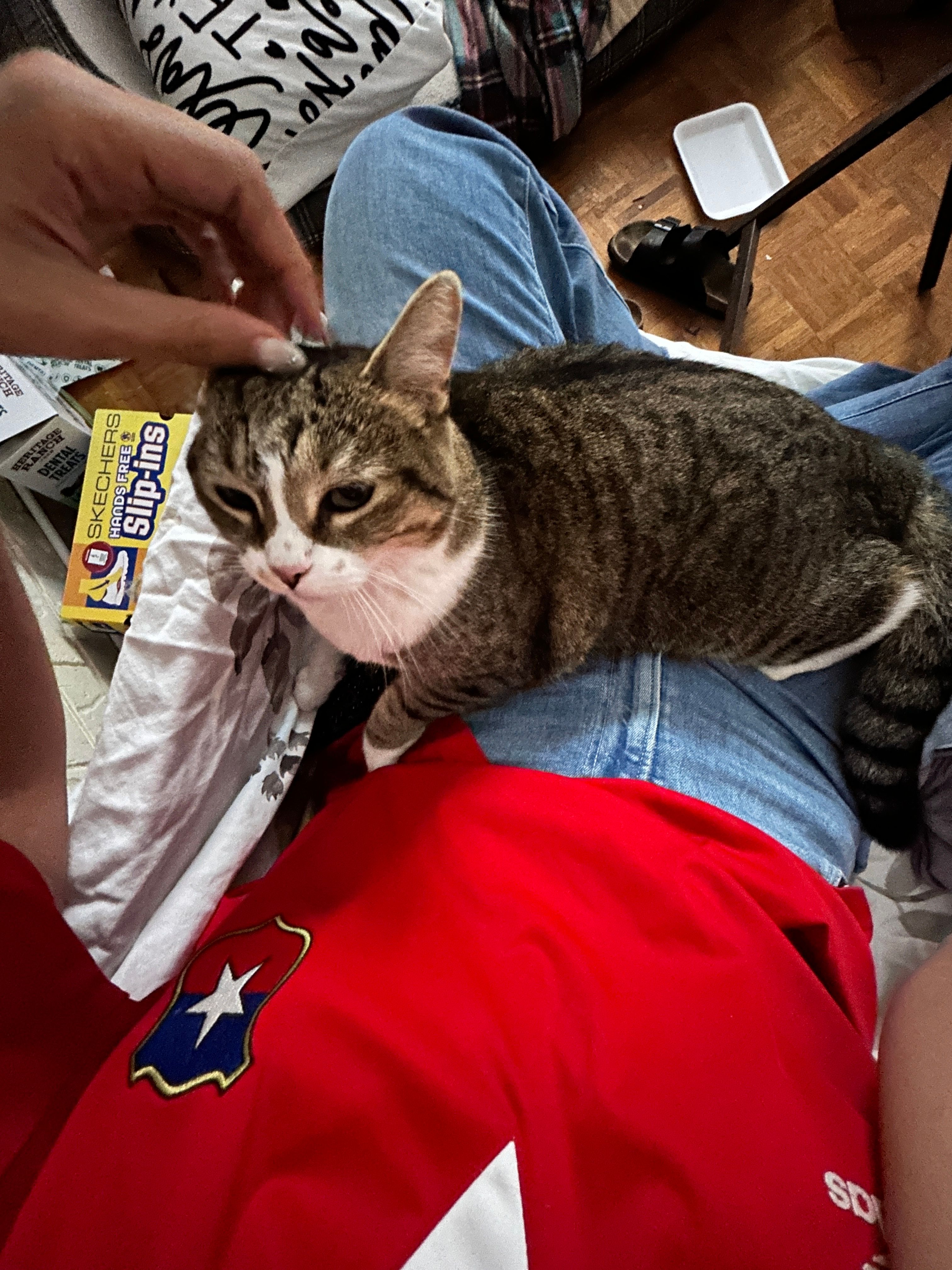 image-11