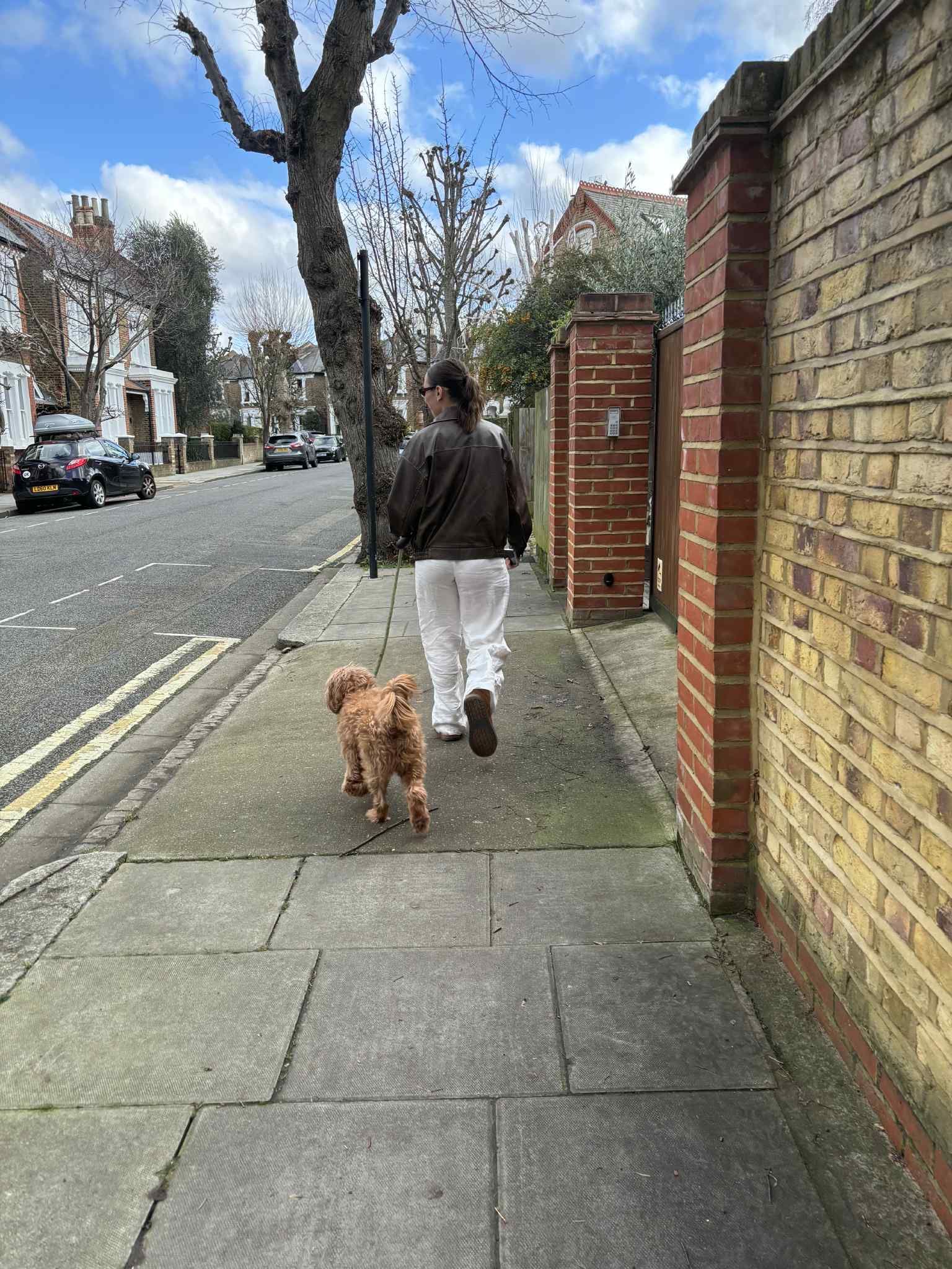 image-17