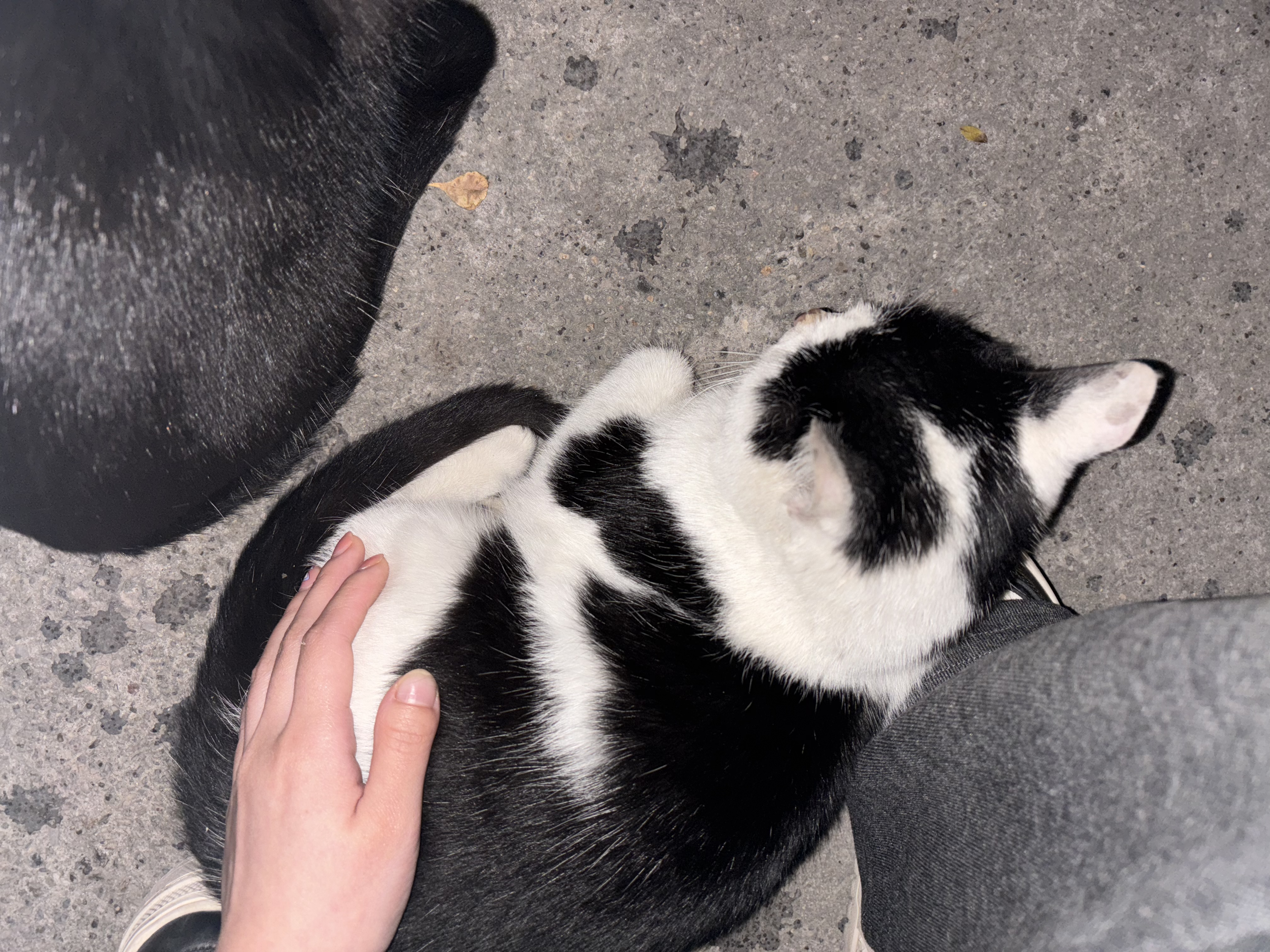 image-8