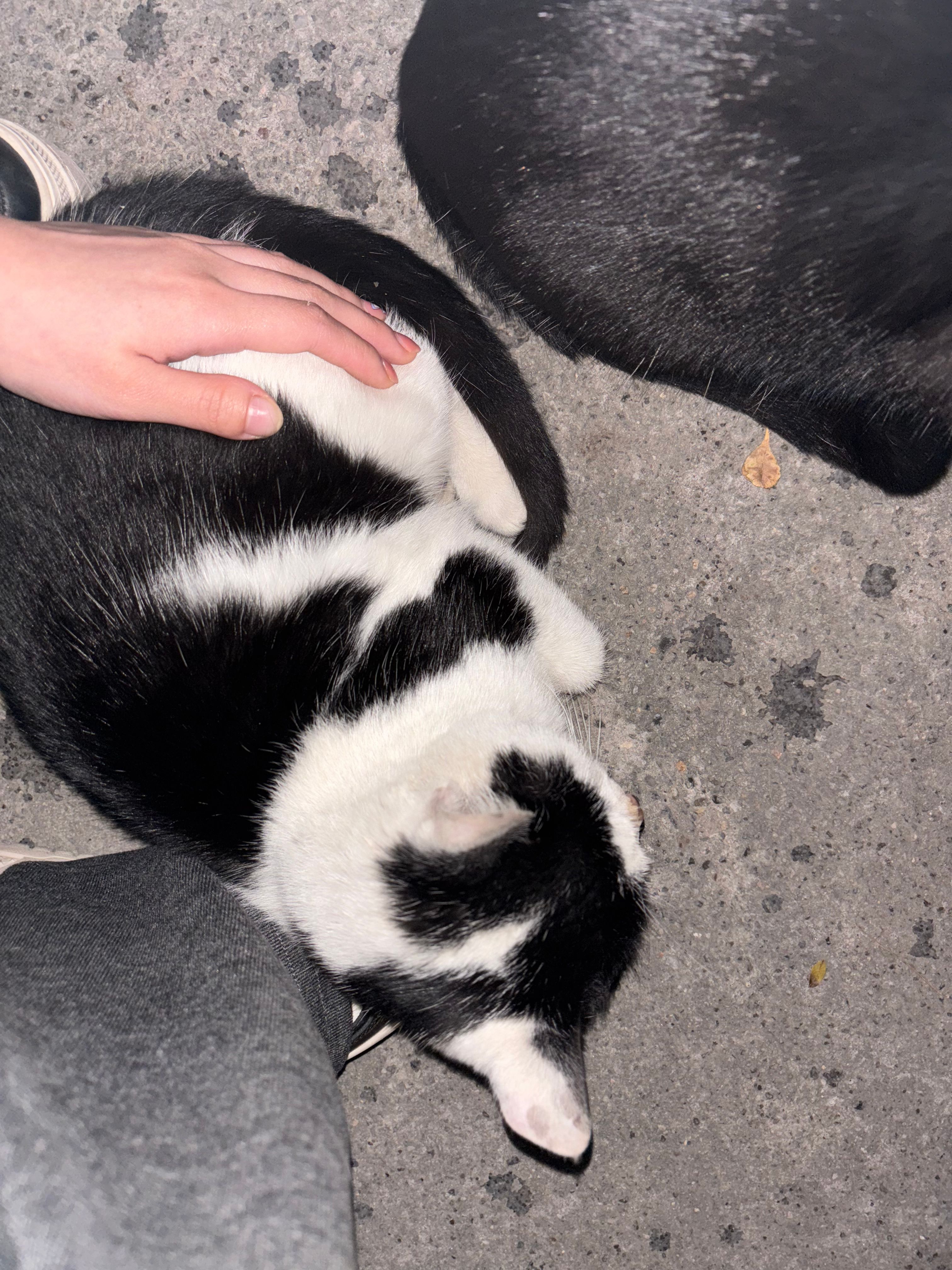 image-8