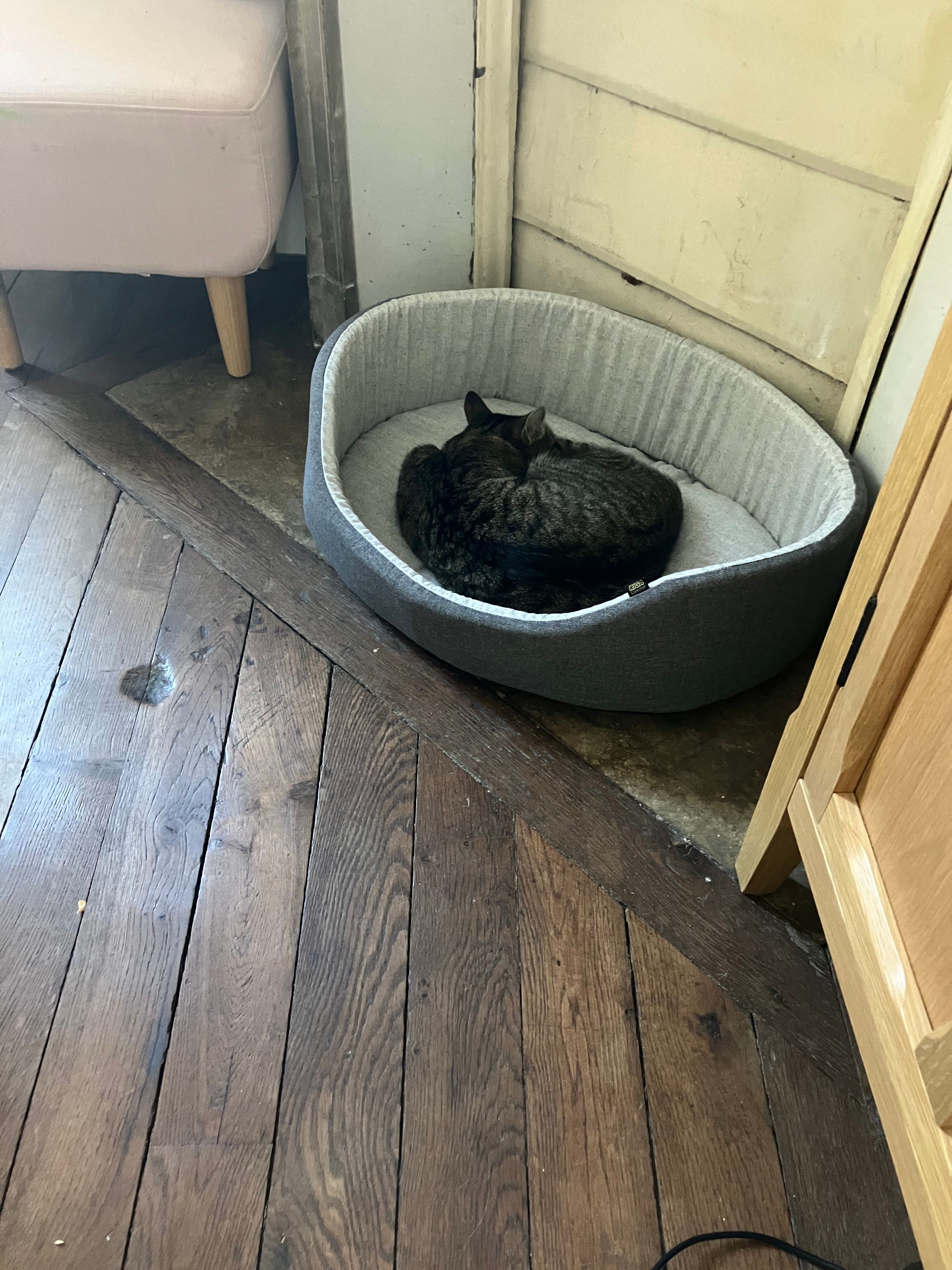 image-14