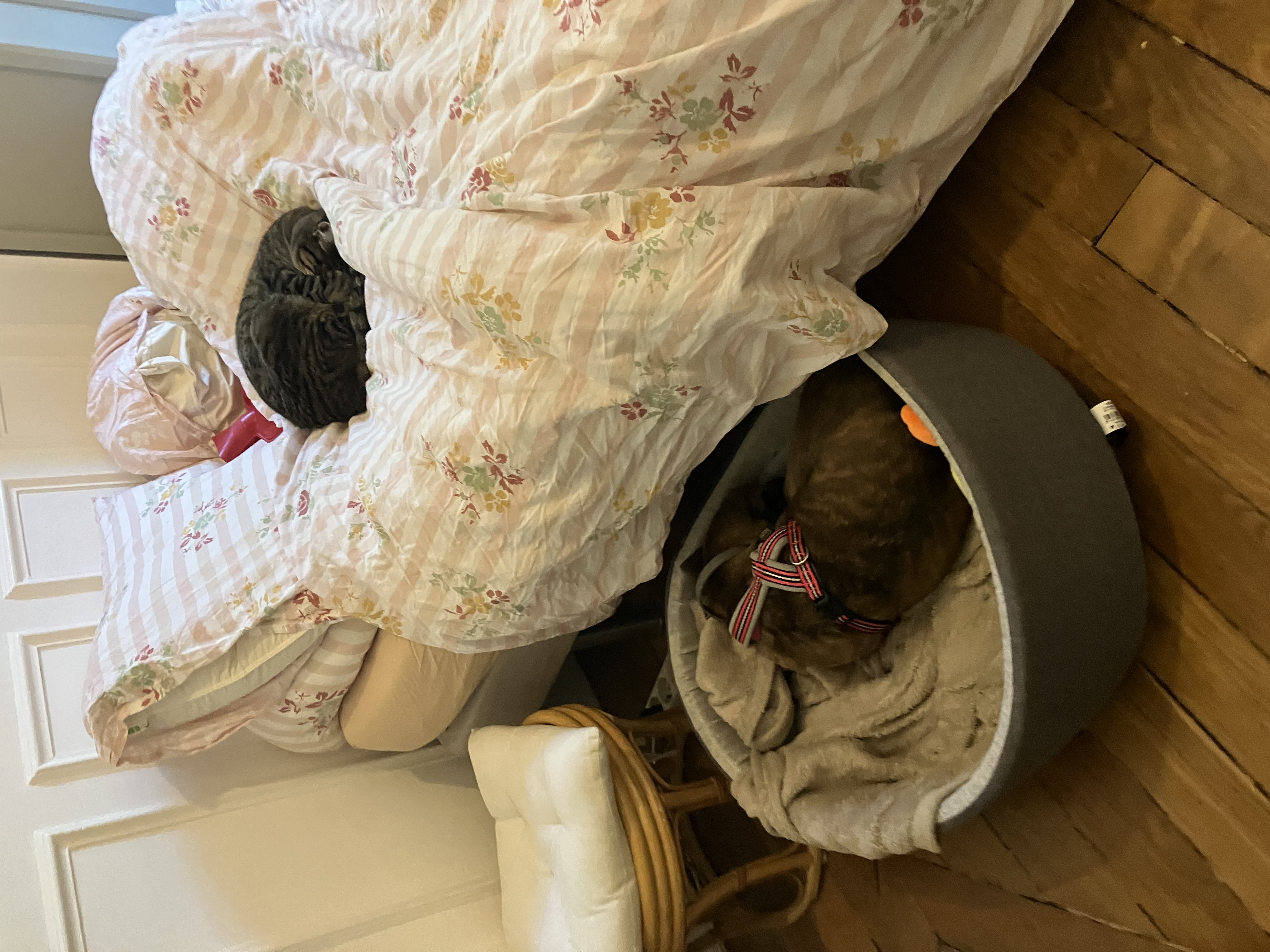 image-13