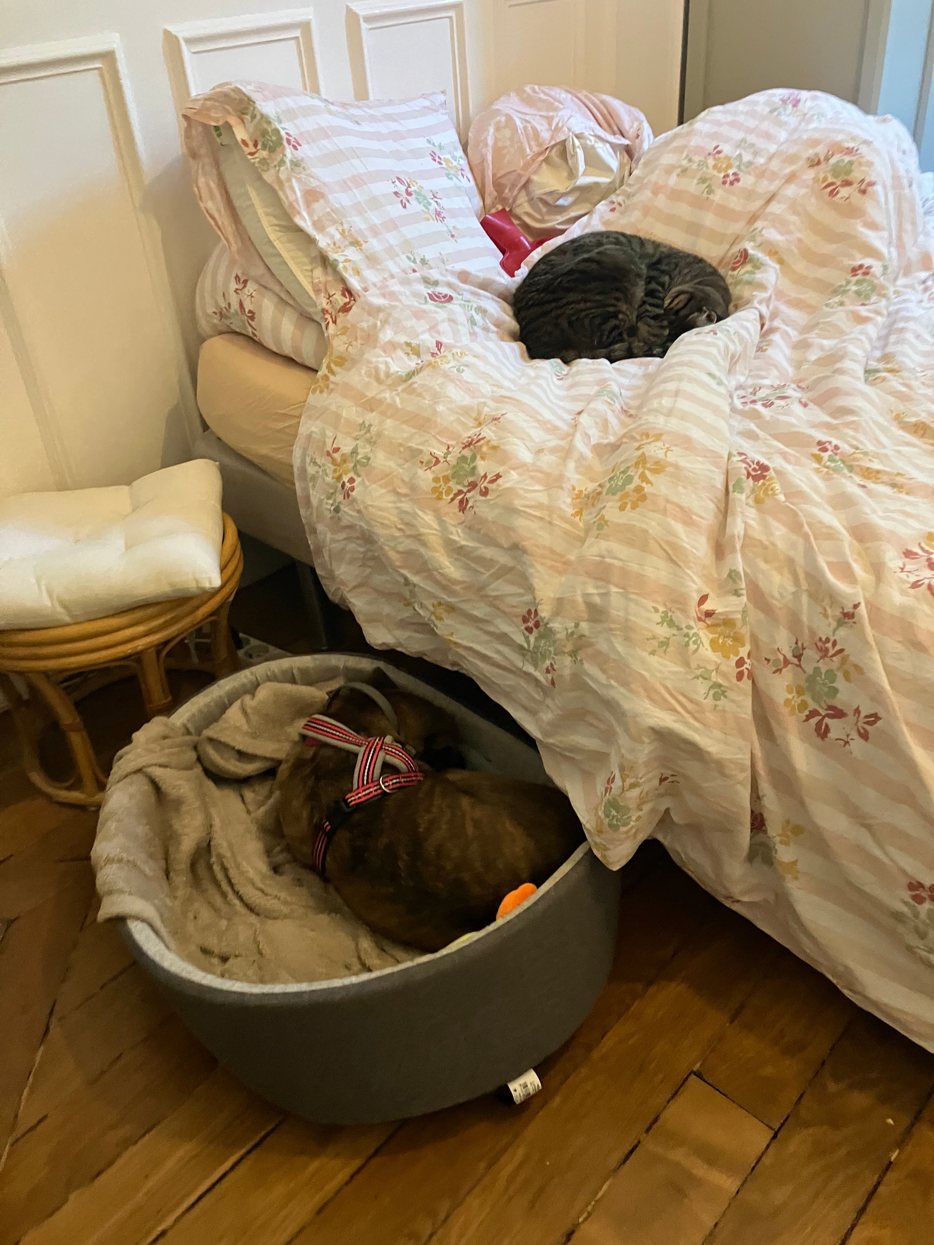 image-13
