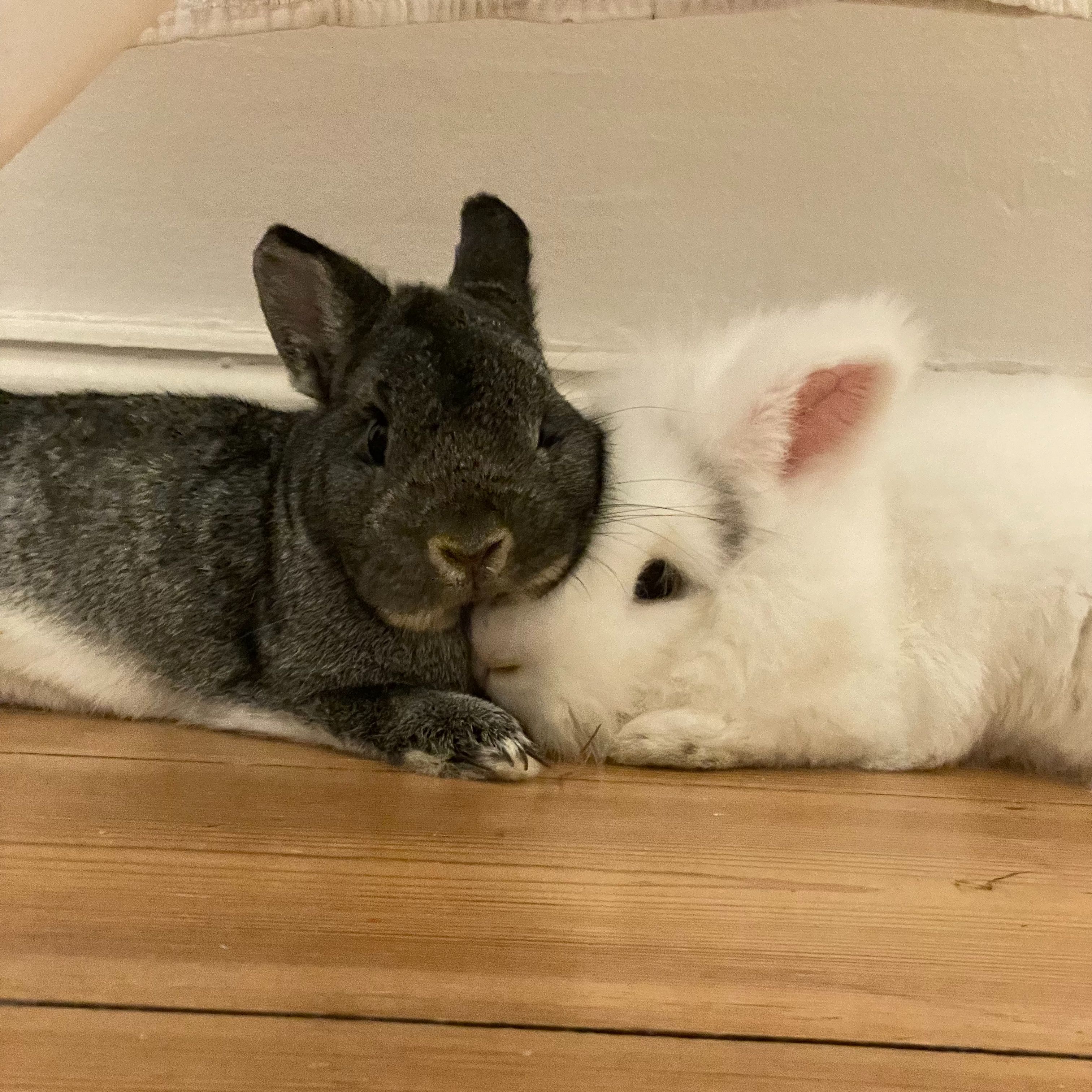 Pablo & JayJay