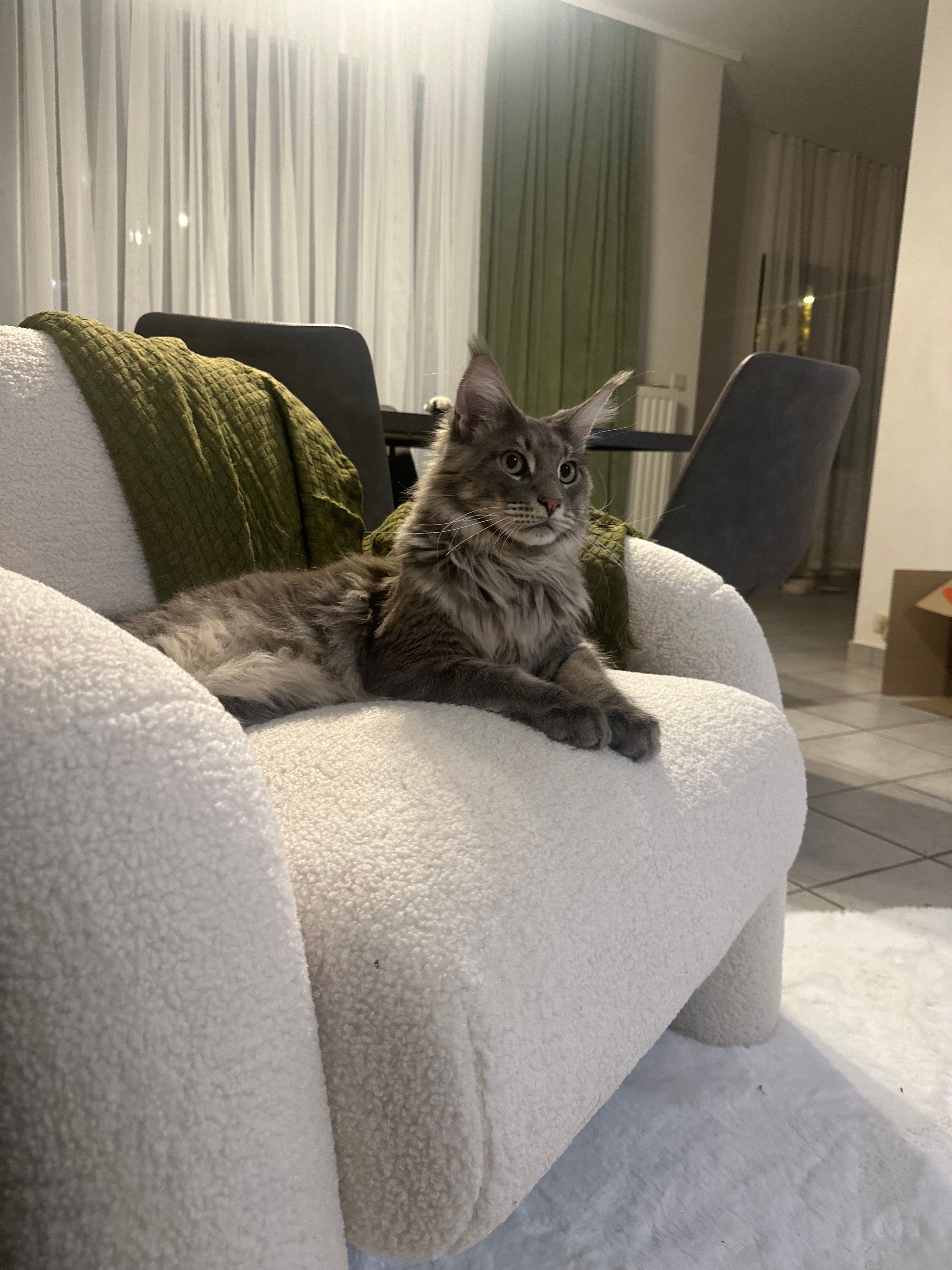 image-27