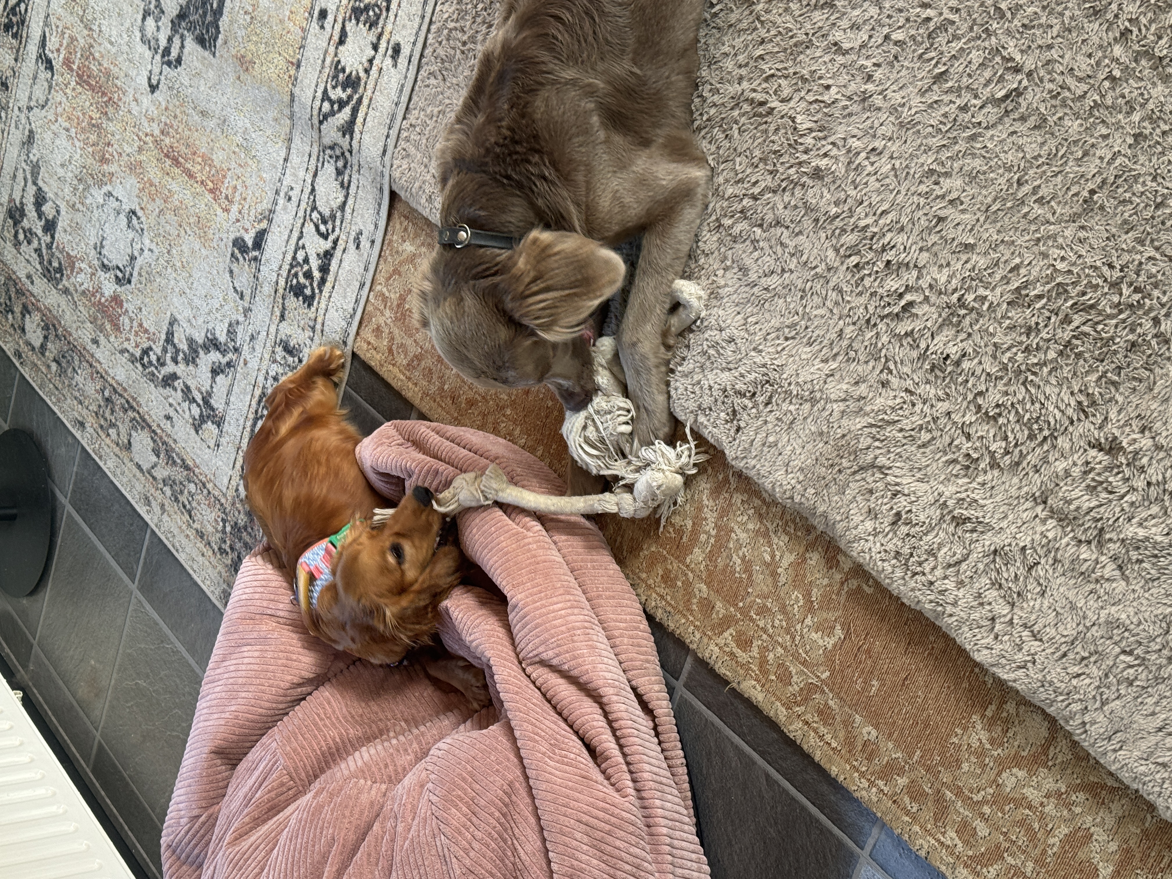 image-11