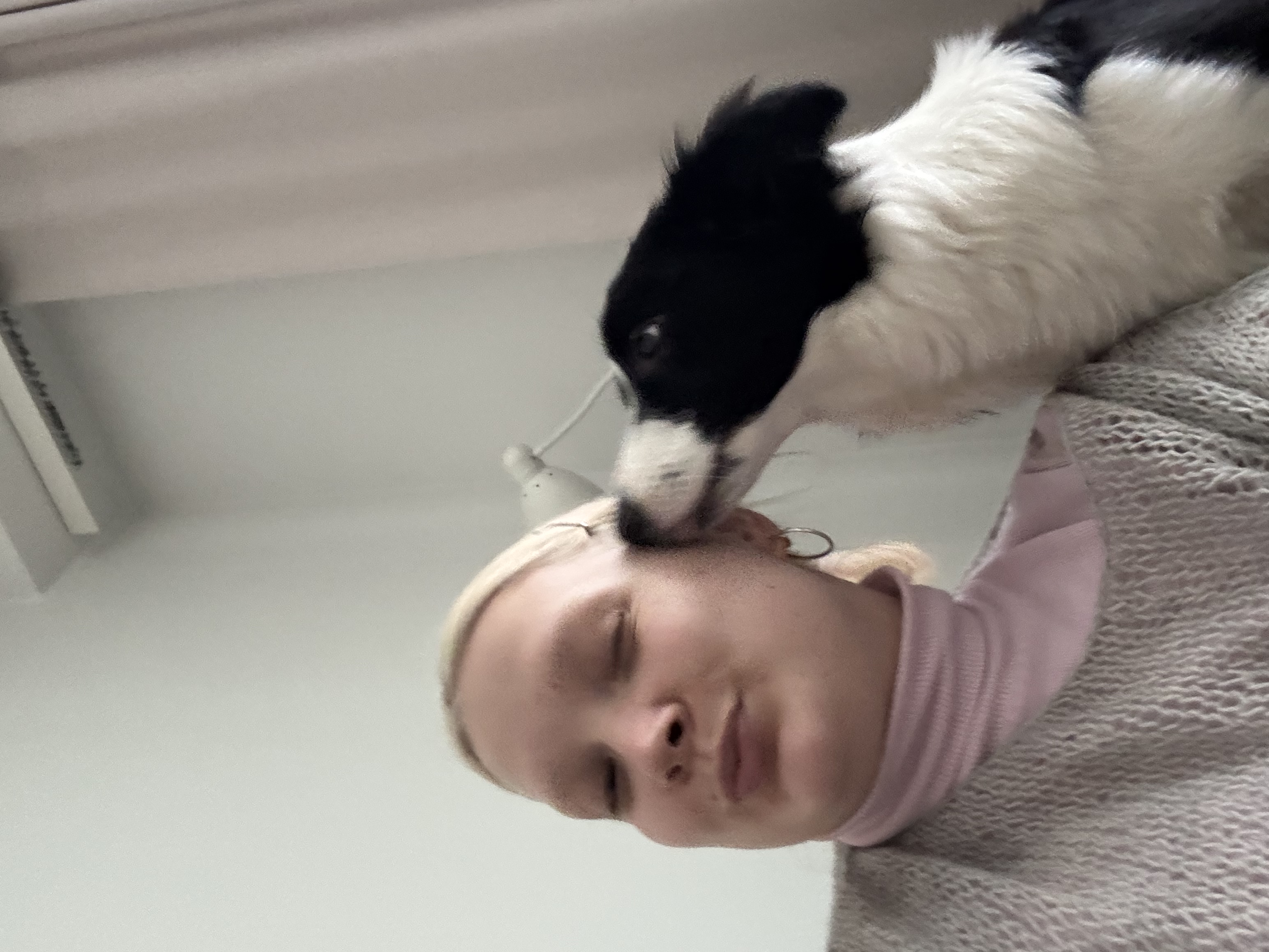 image-7