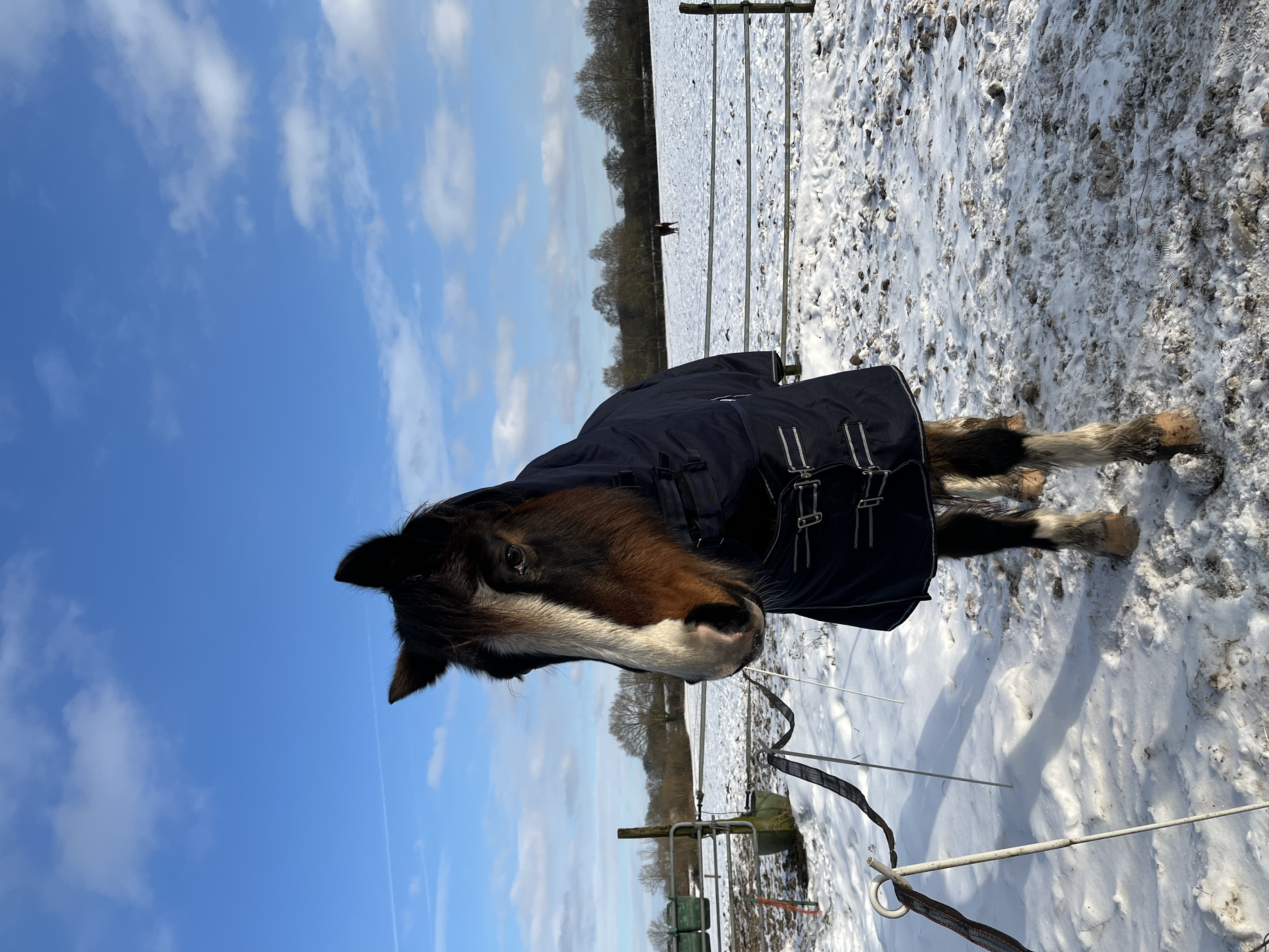image-8