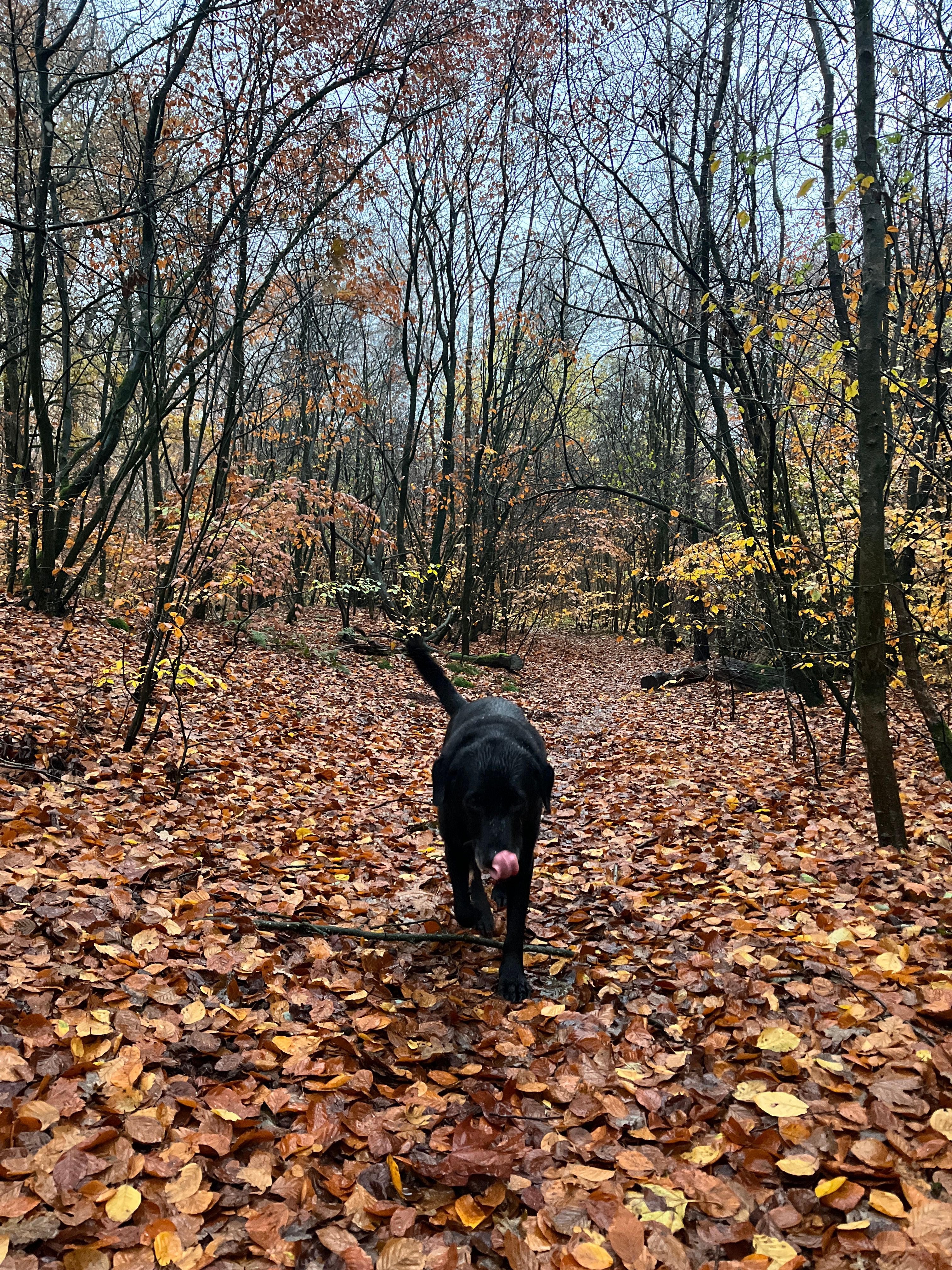 image-12