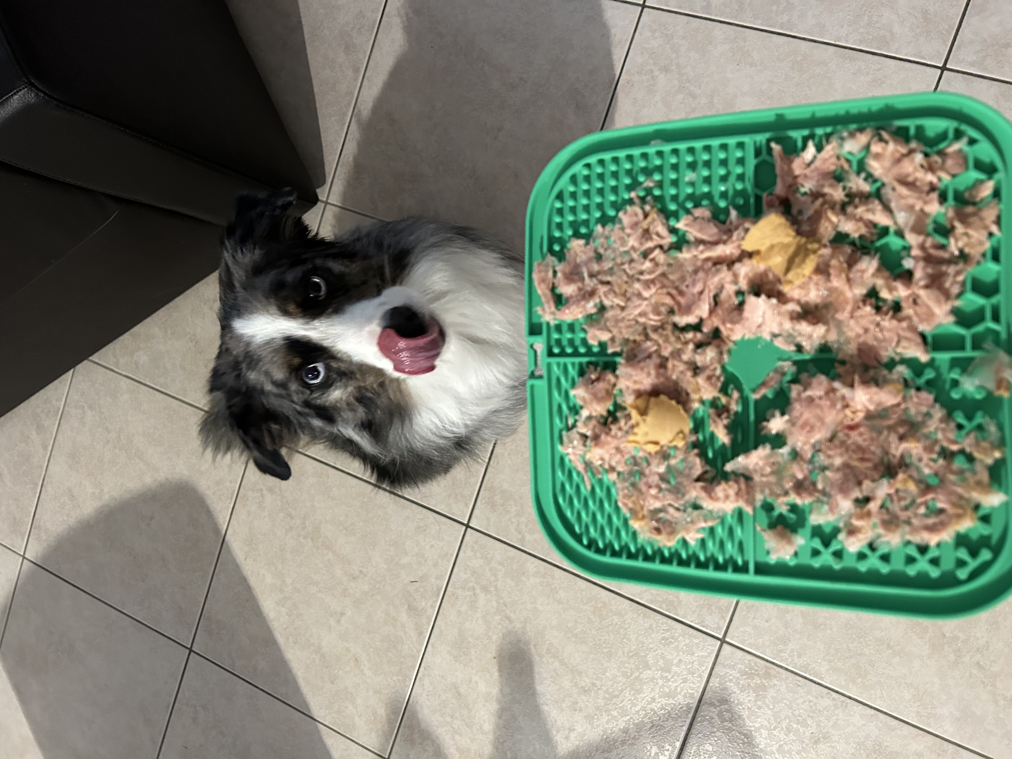 image-9