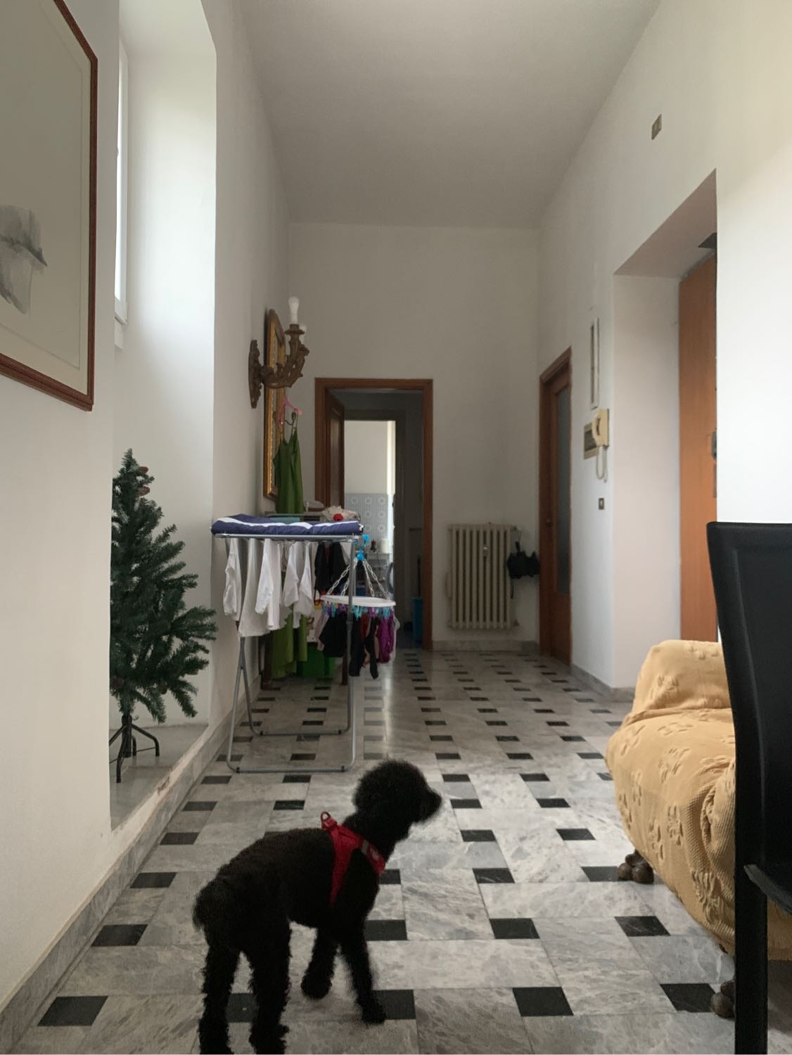 image-11