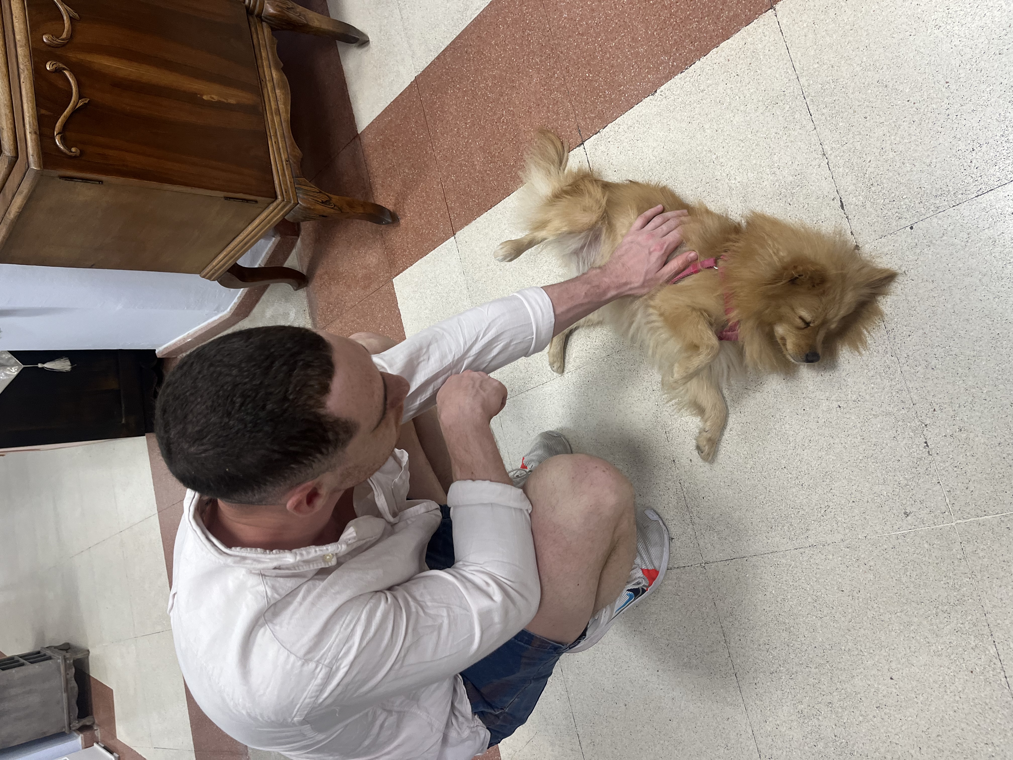 image-8
