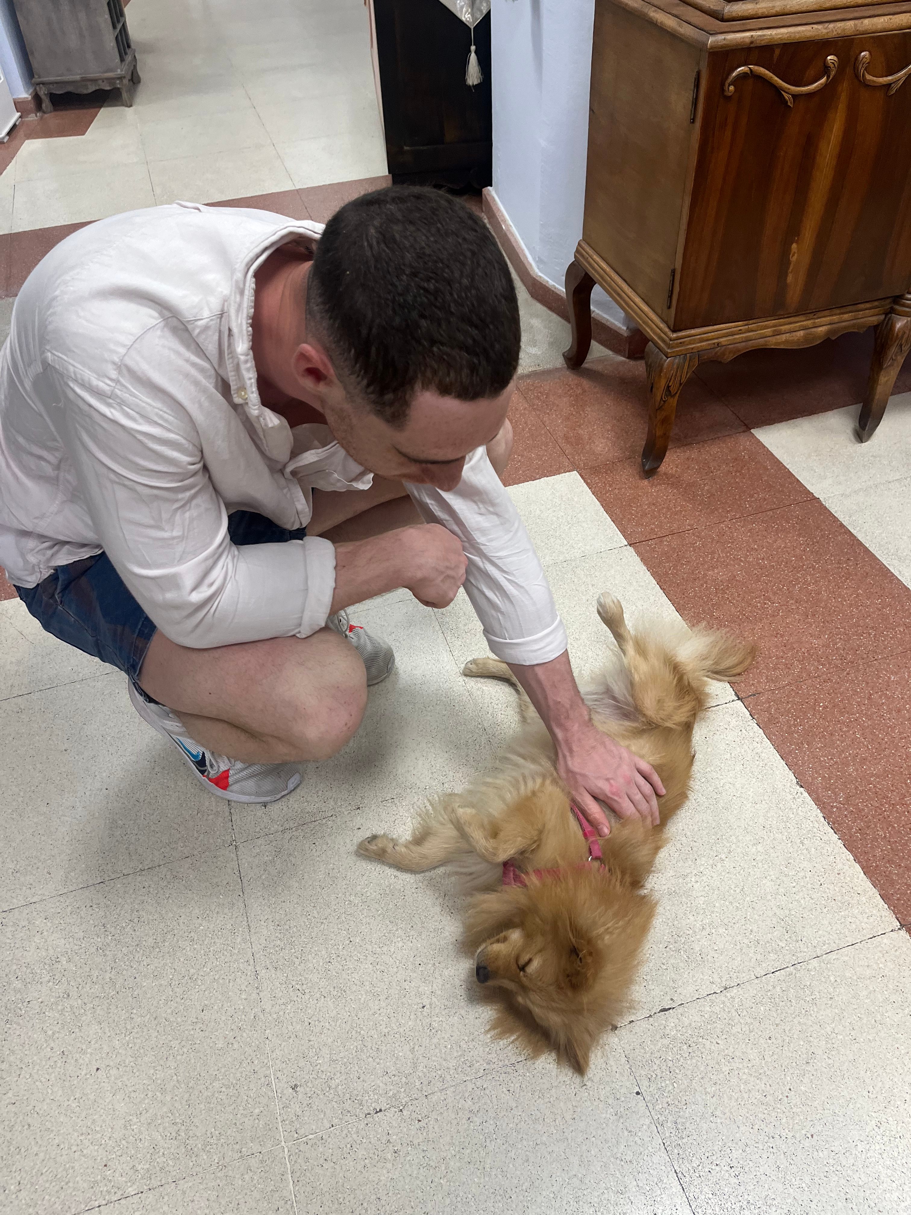 image-8