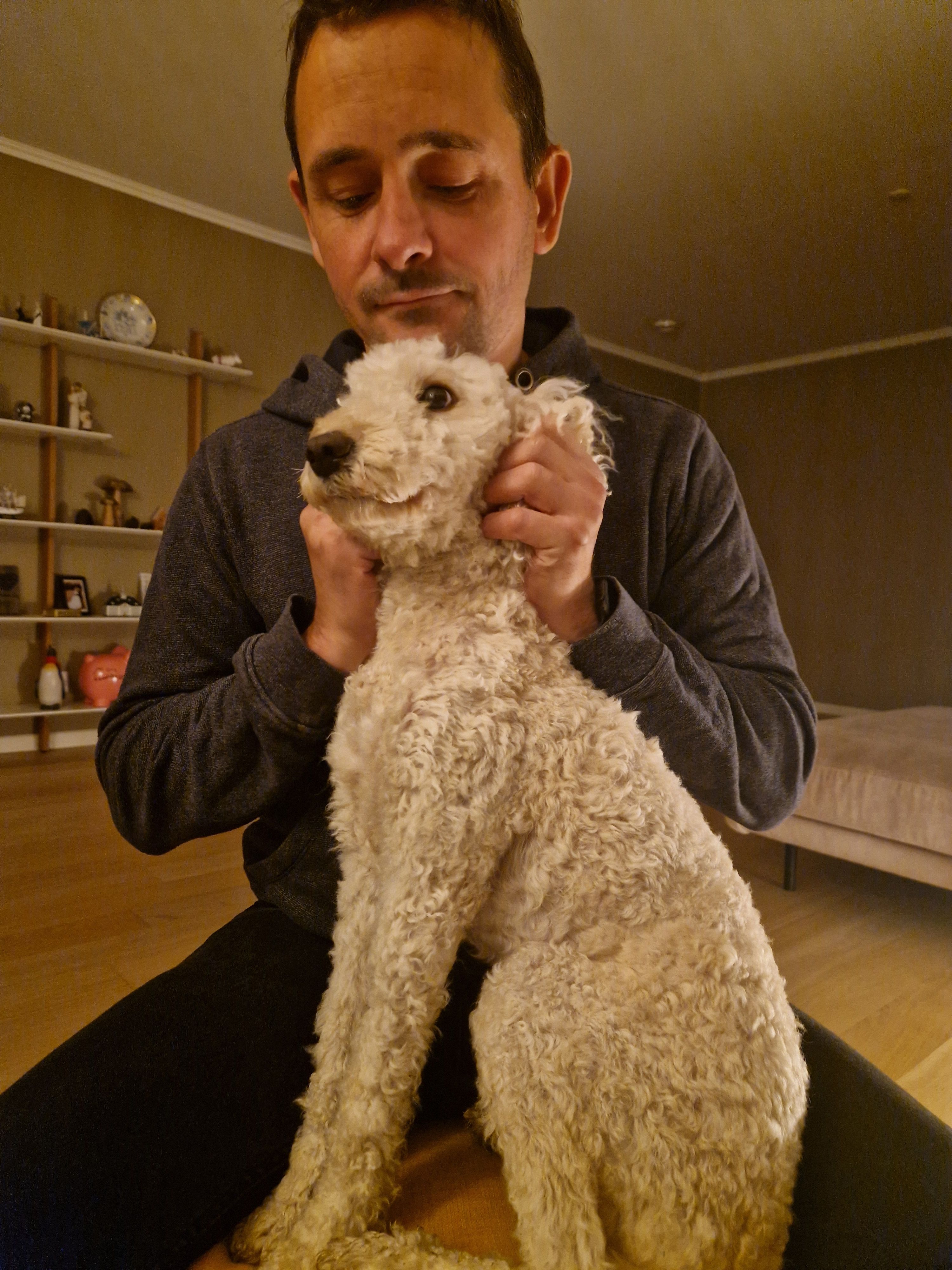 image-7