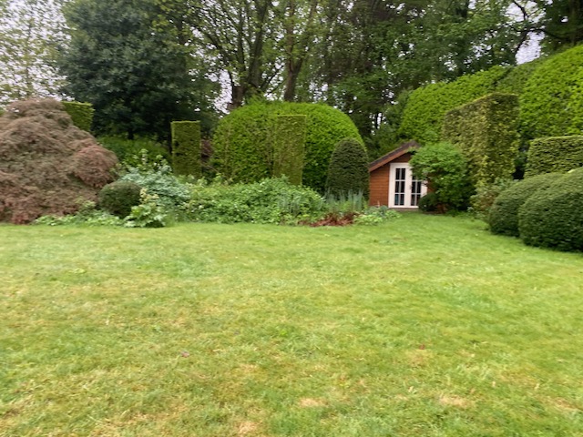 image-15
