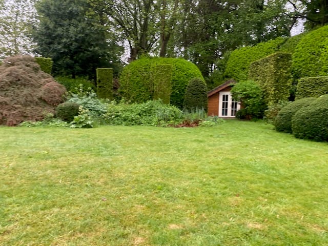 image-15