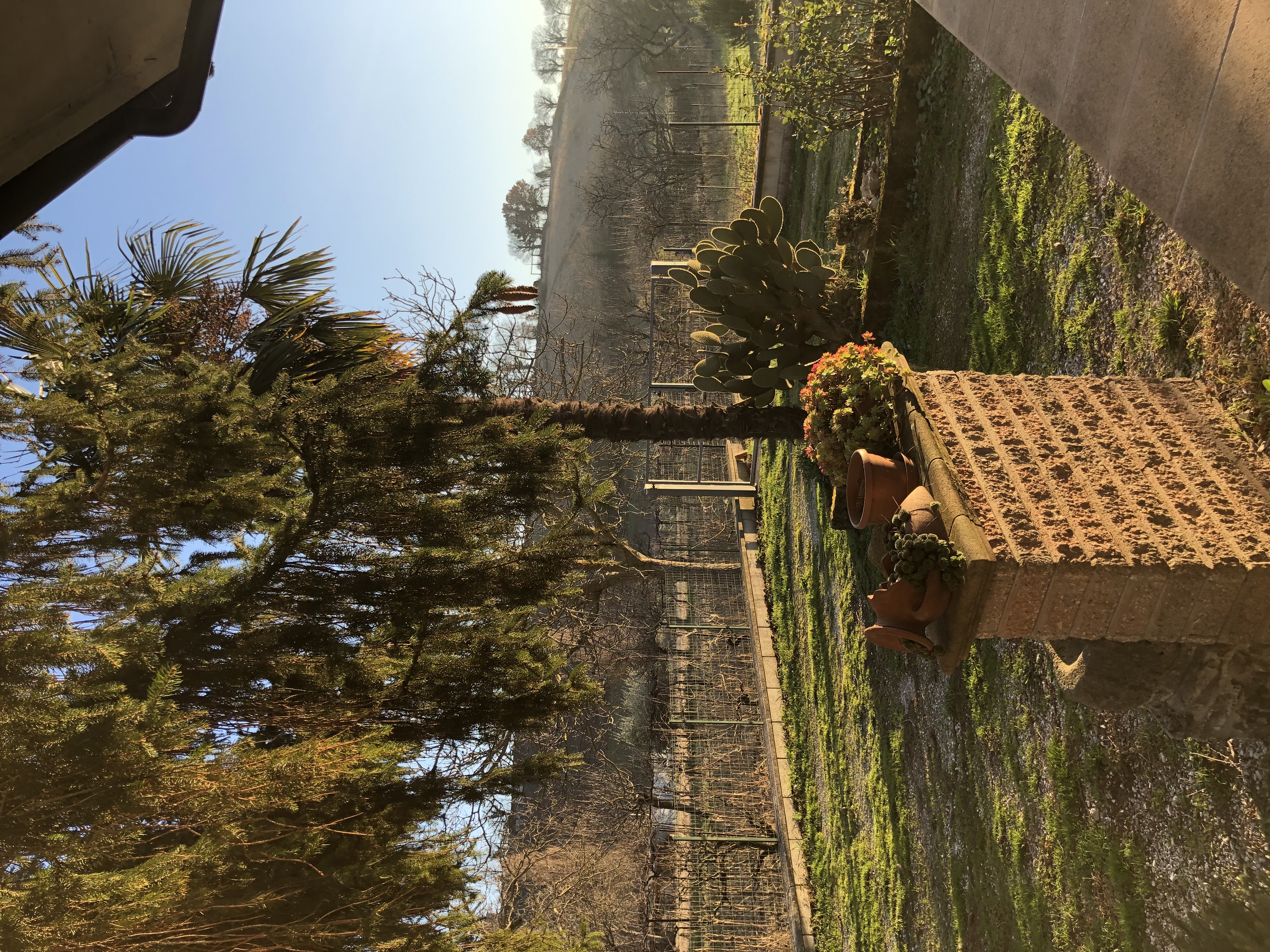 image-17