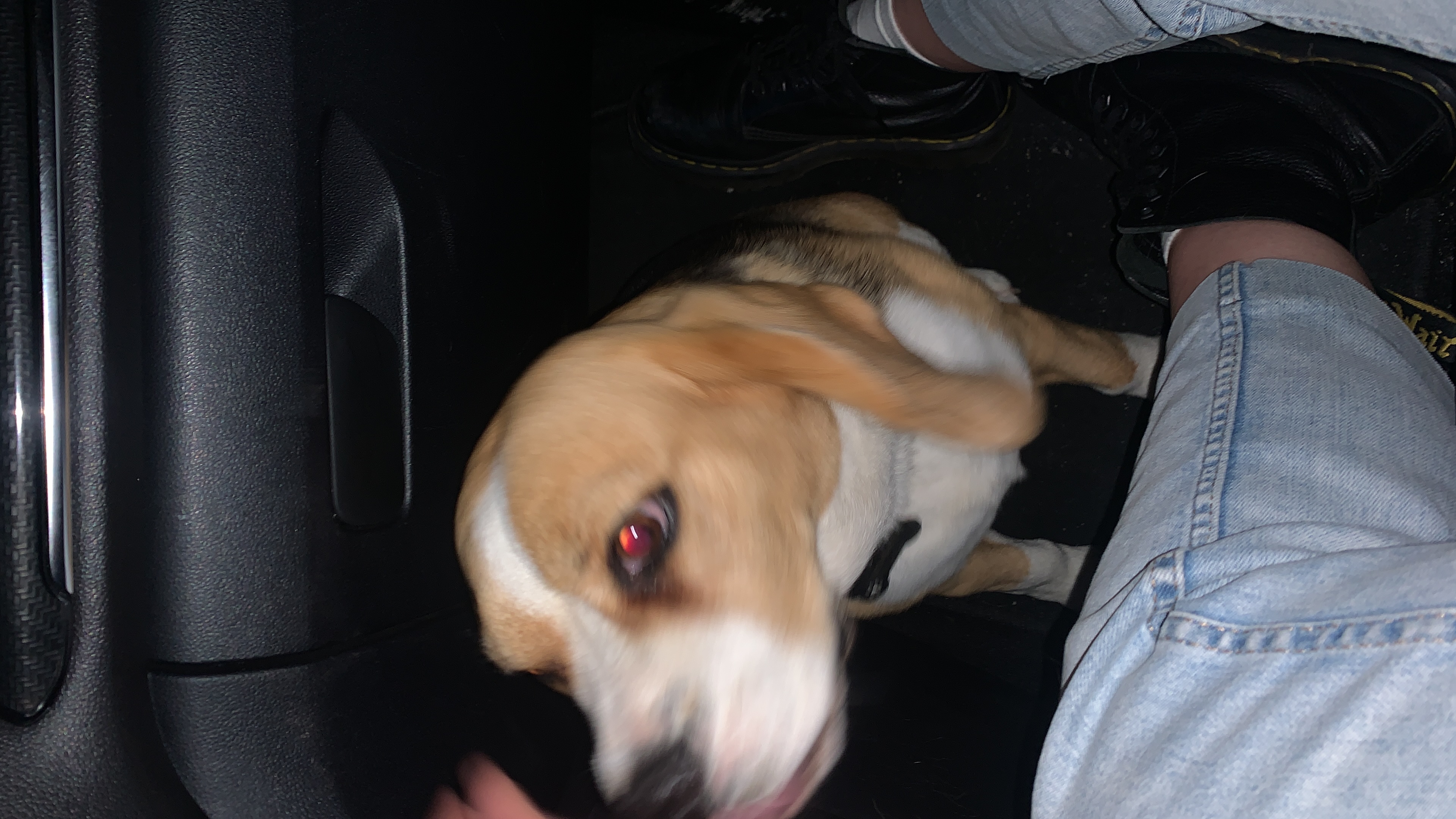 image-9