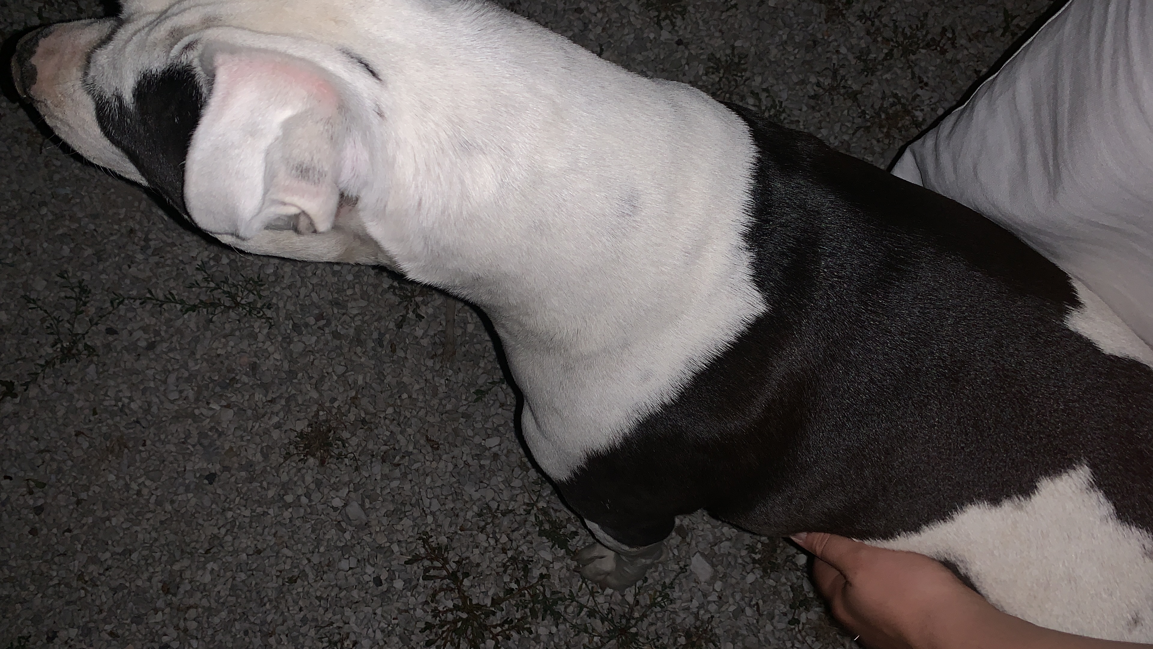 image-7