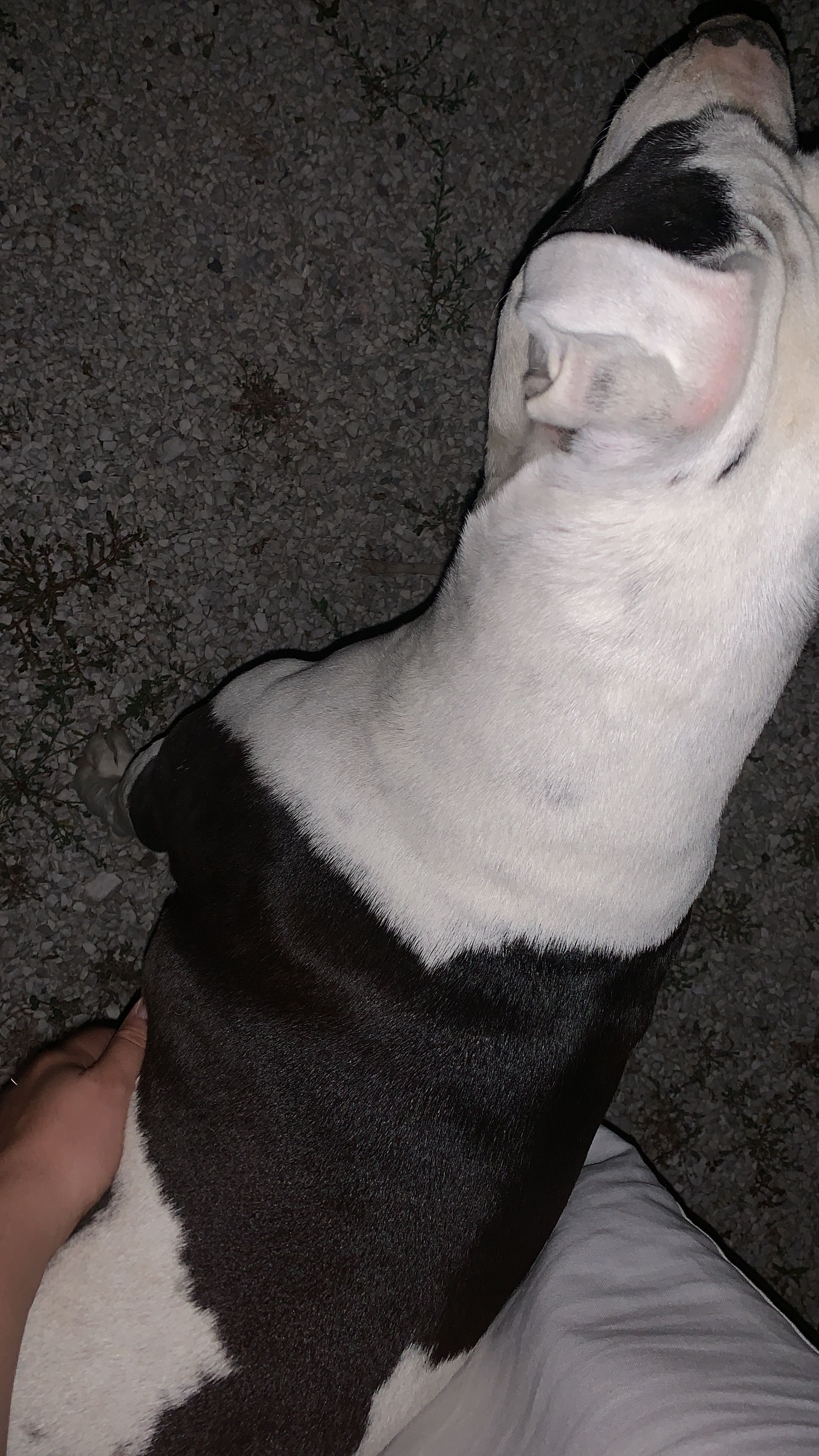 image-7