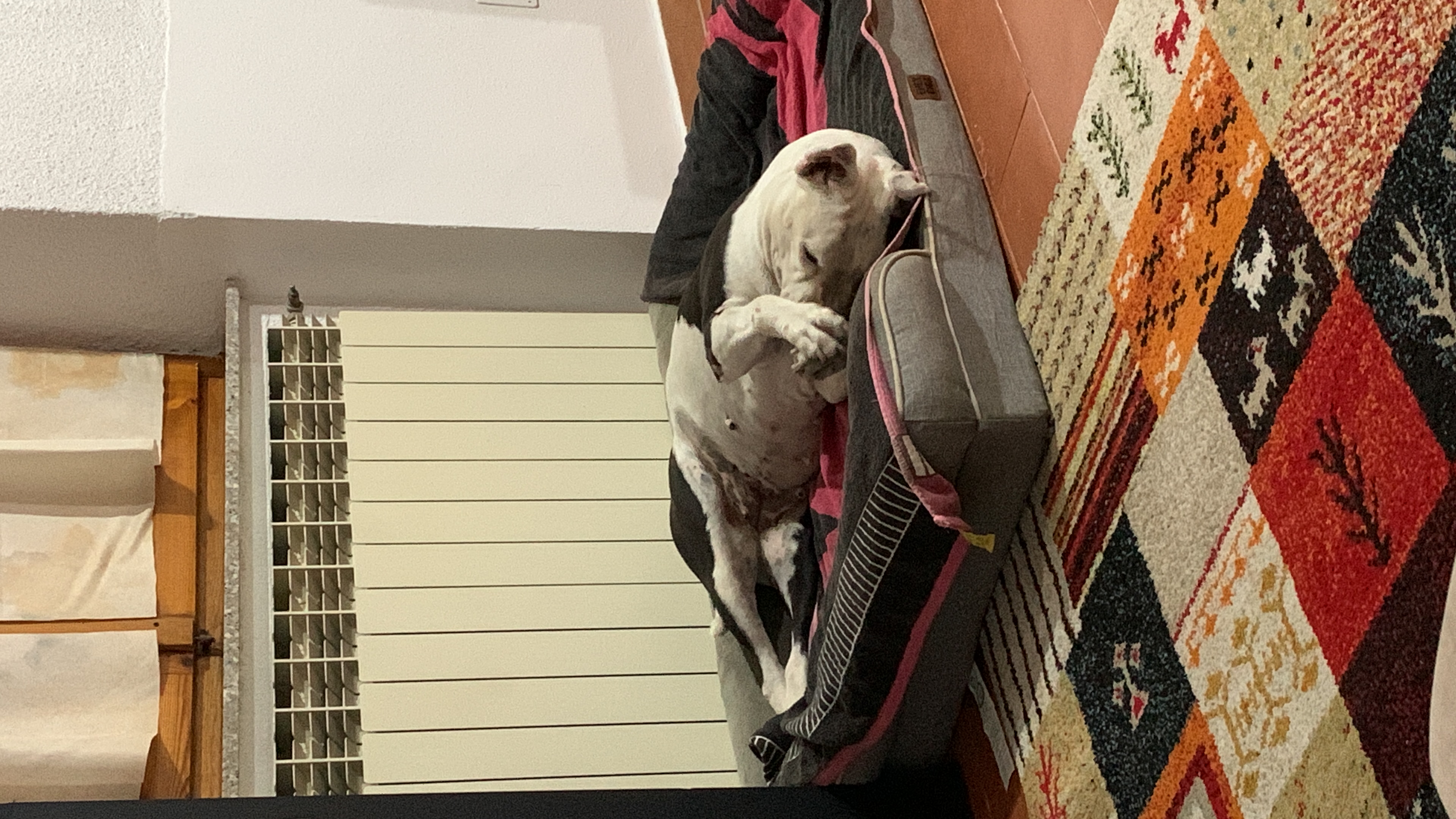 image-6