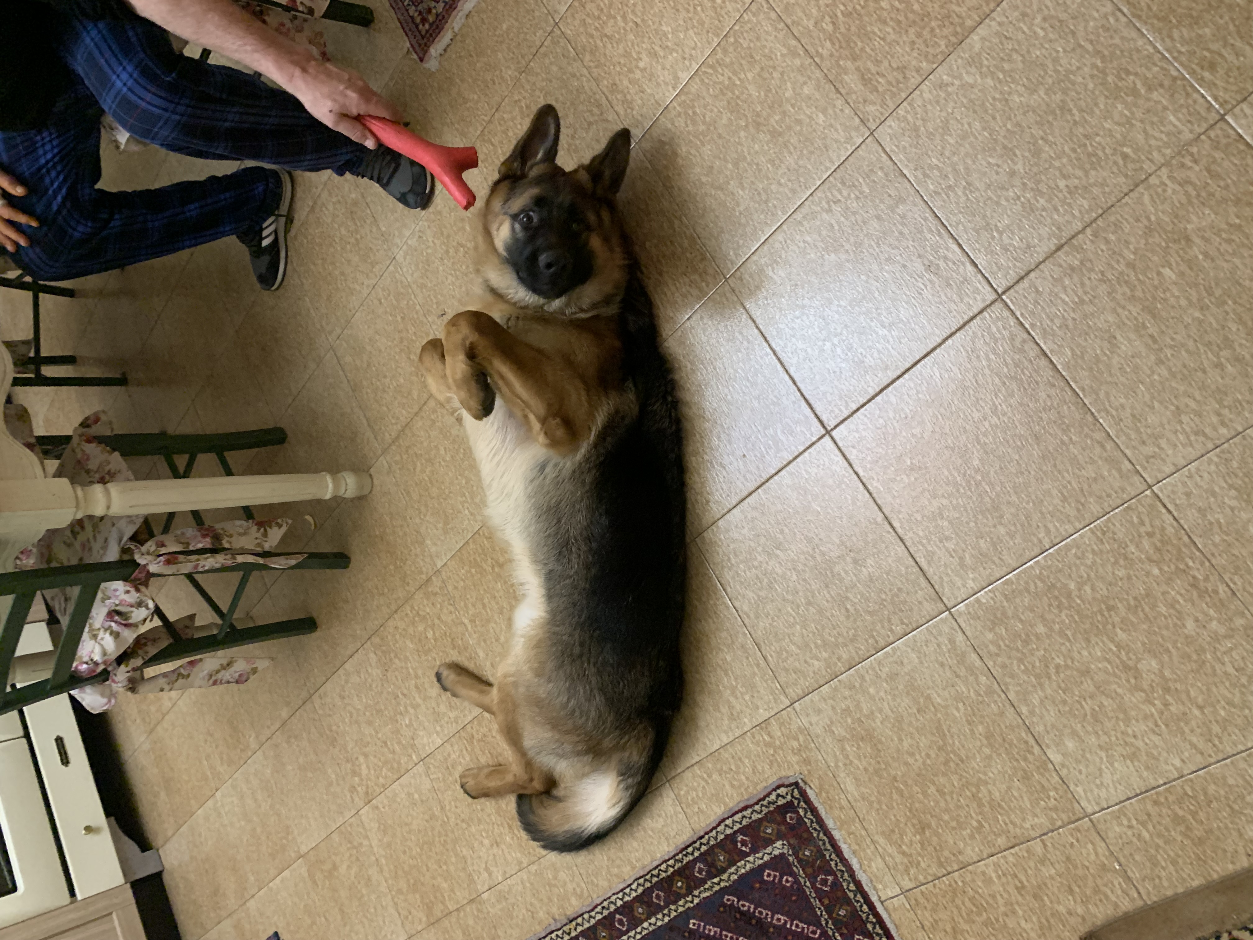 image-11