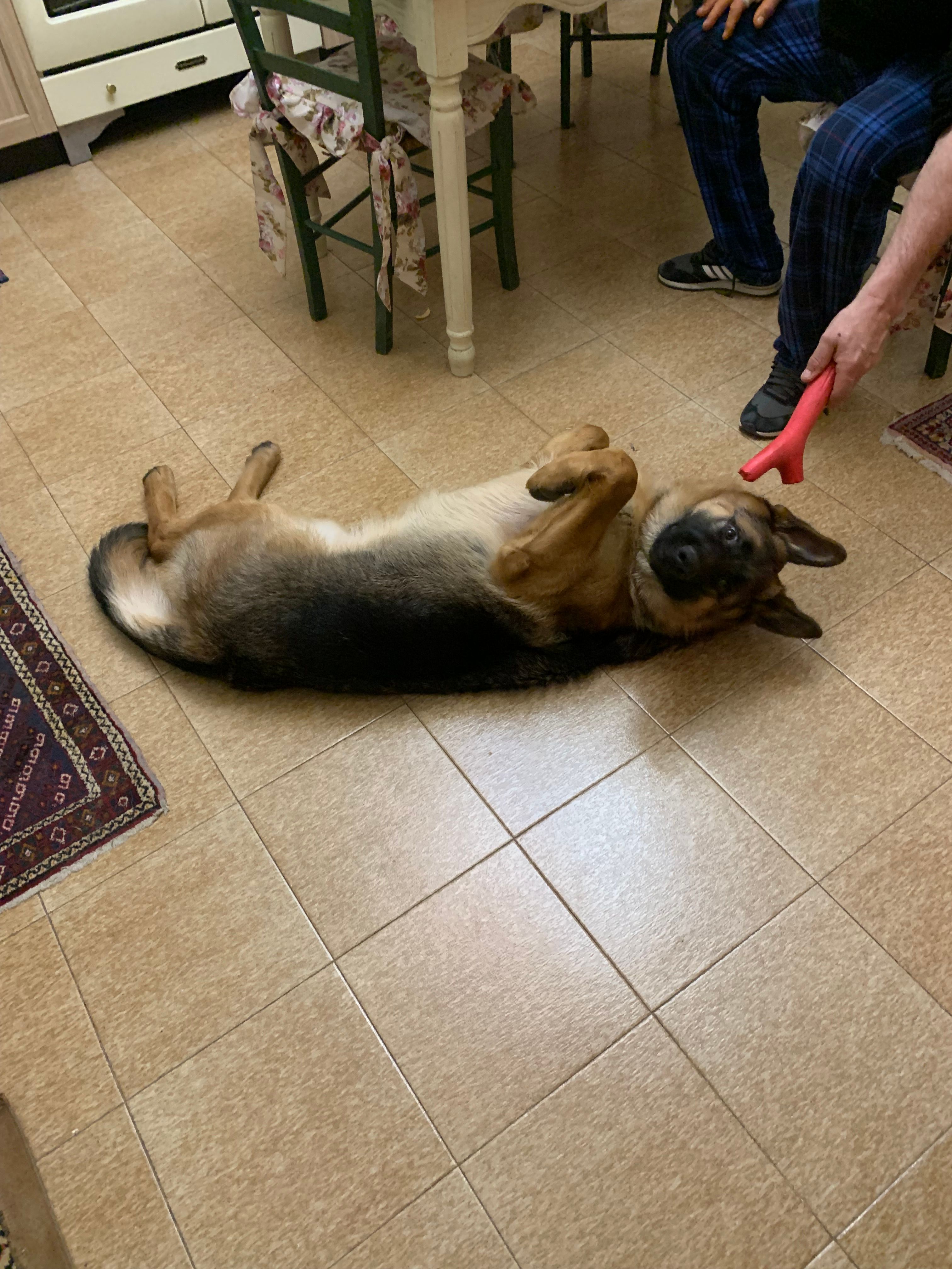 image-11