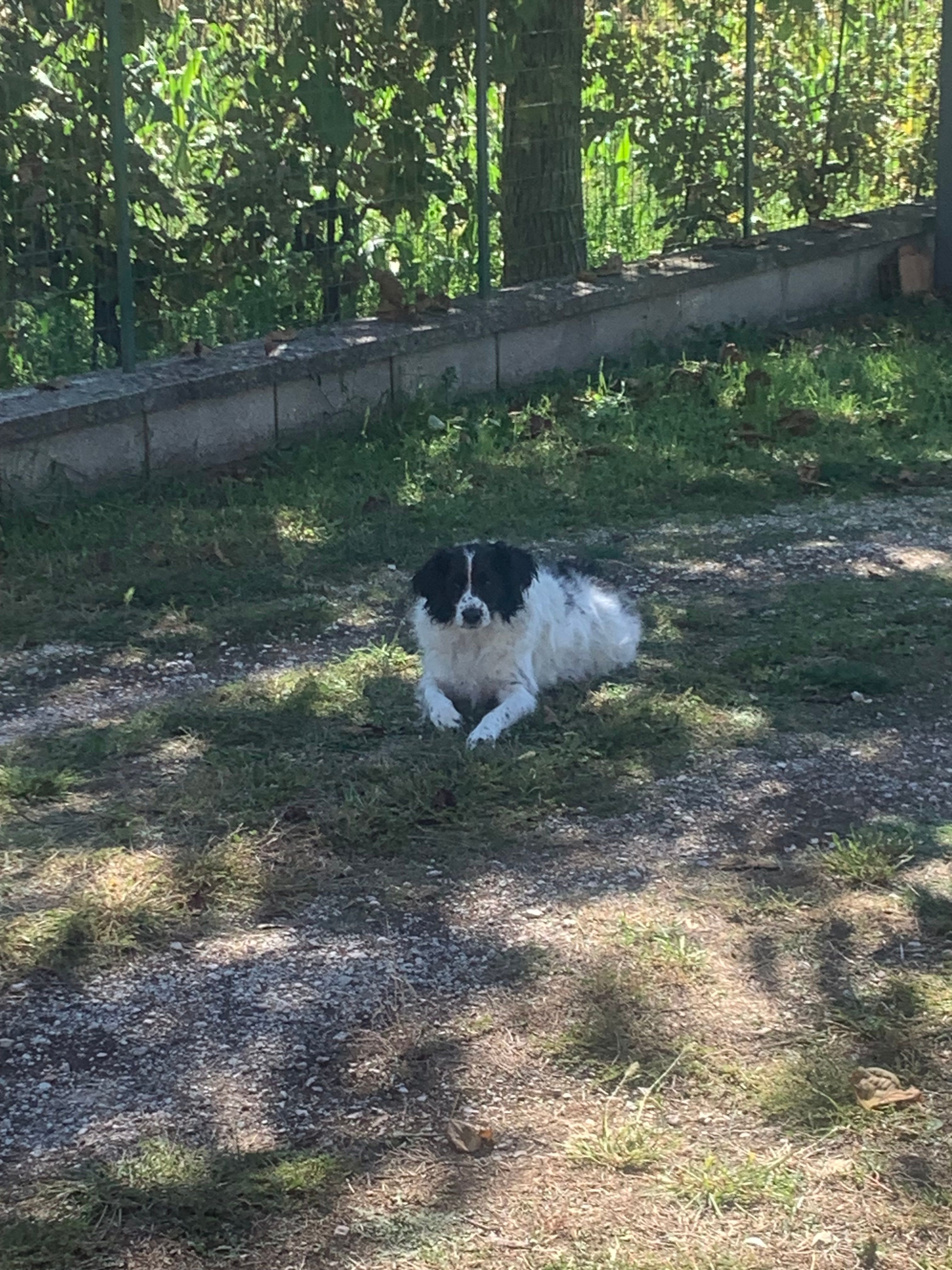 image-16