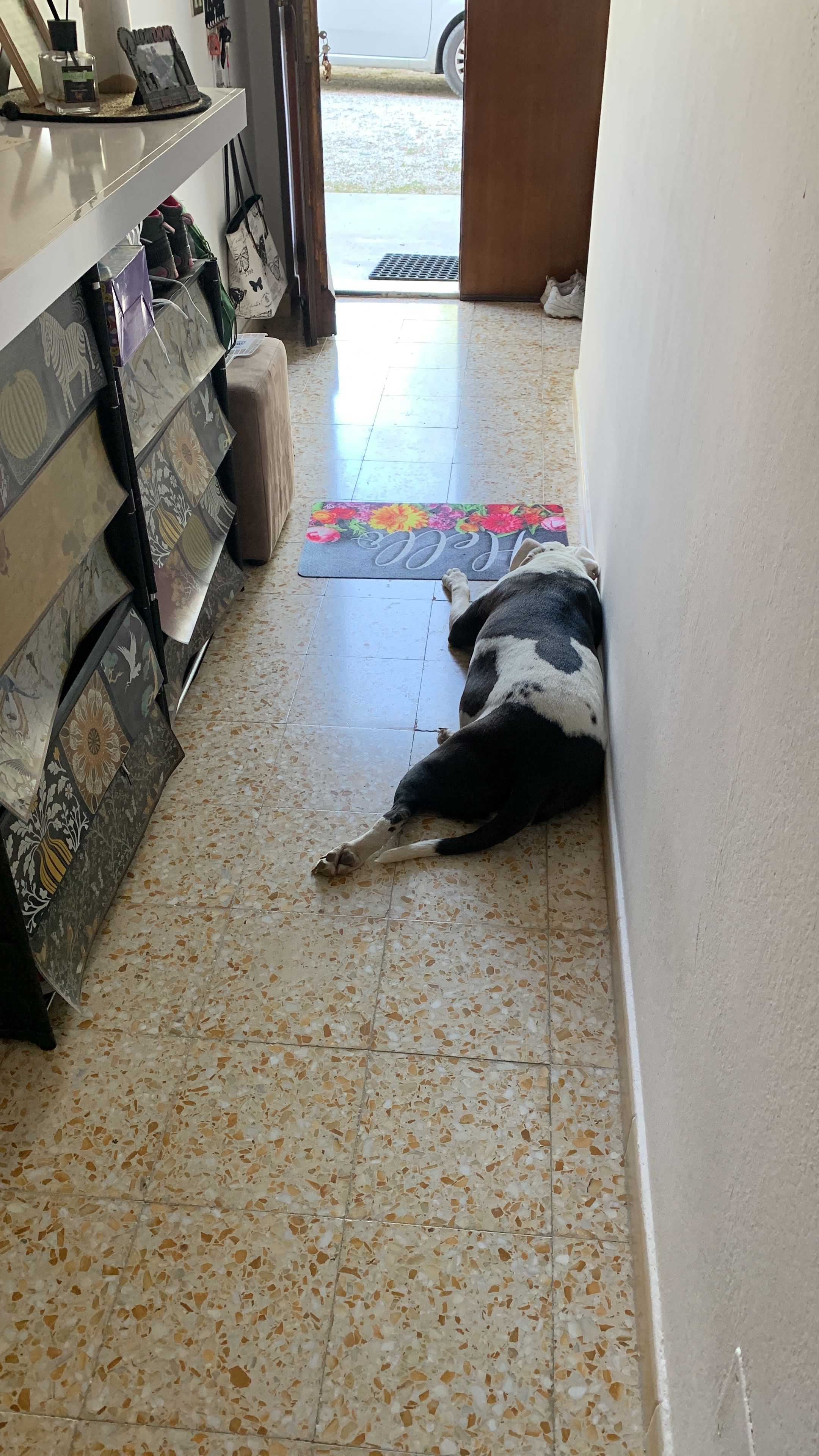 image-8