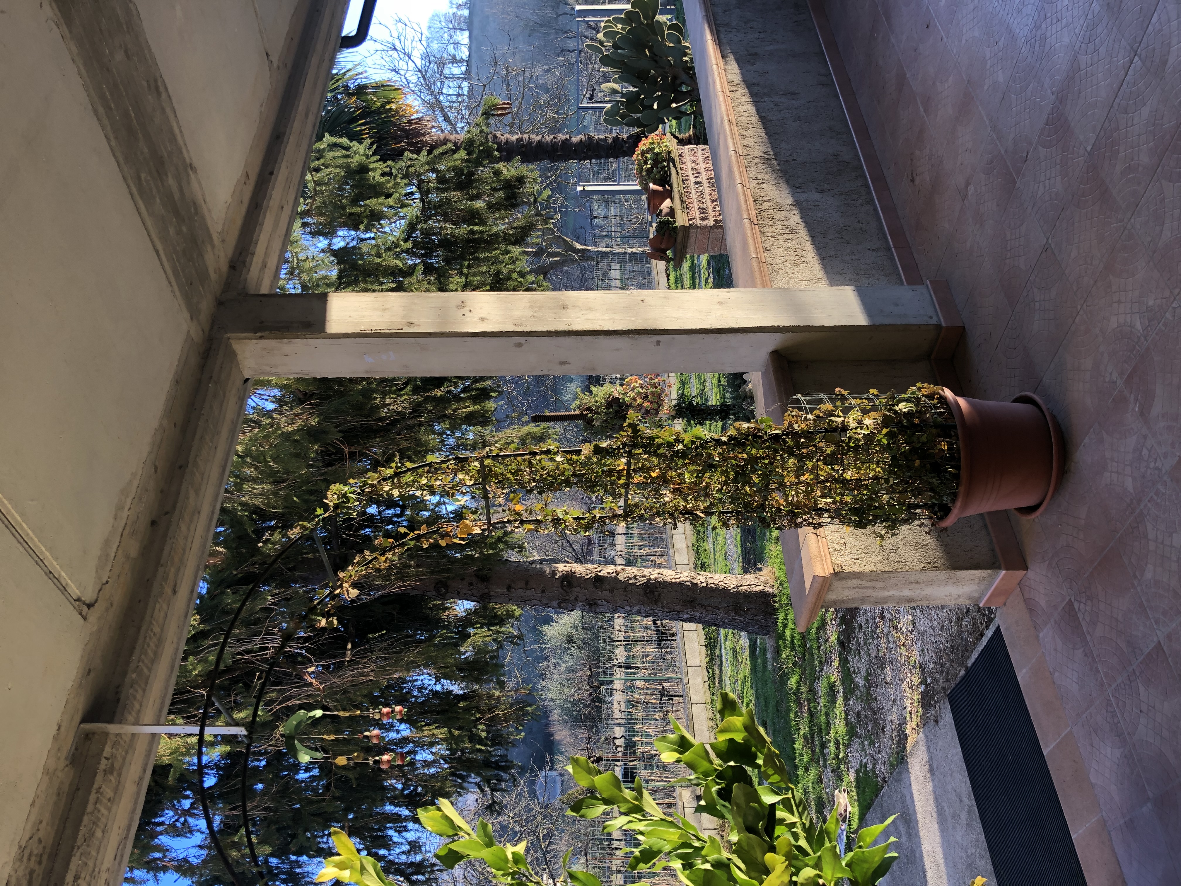 image-14