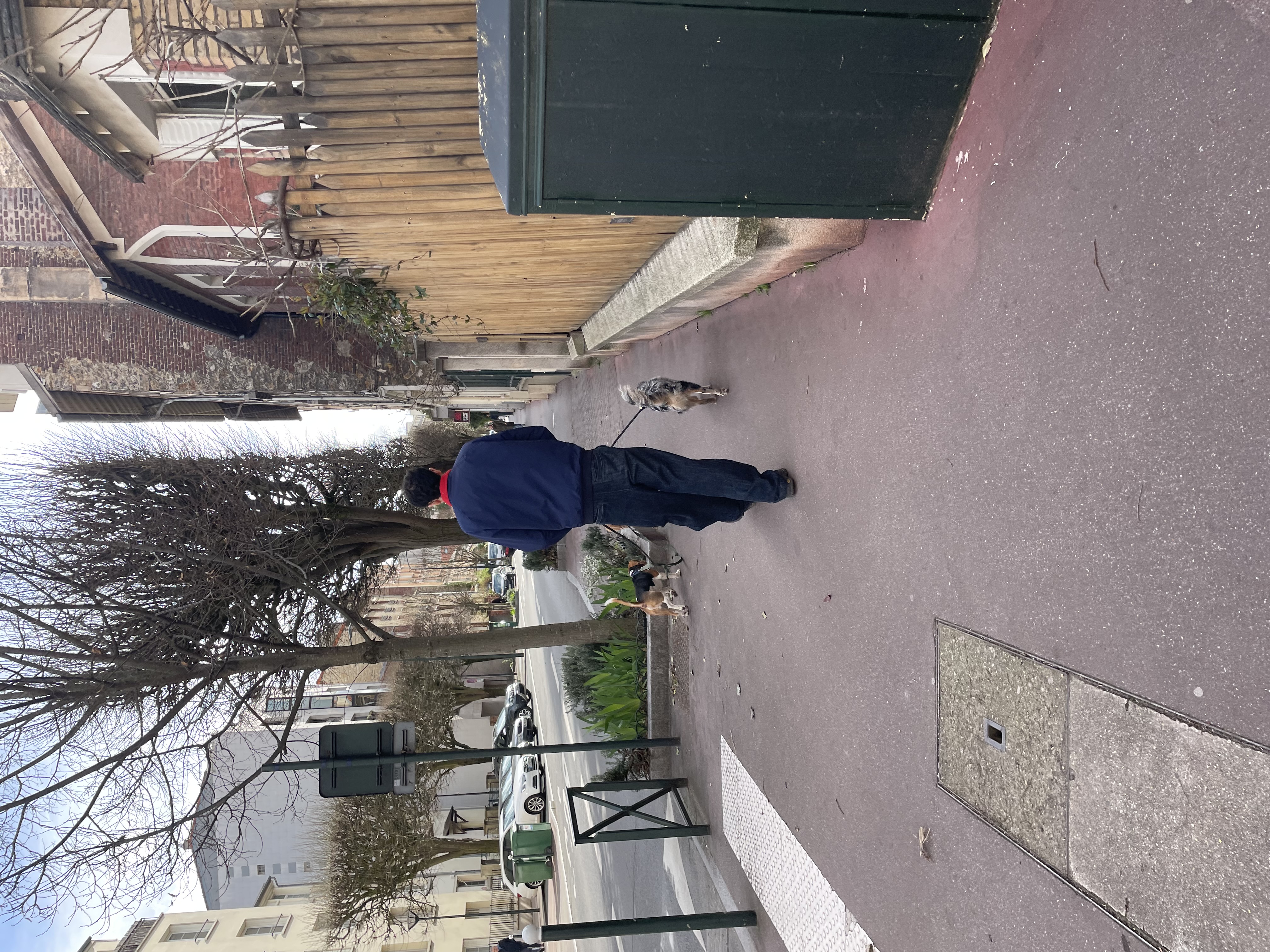 image-3