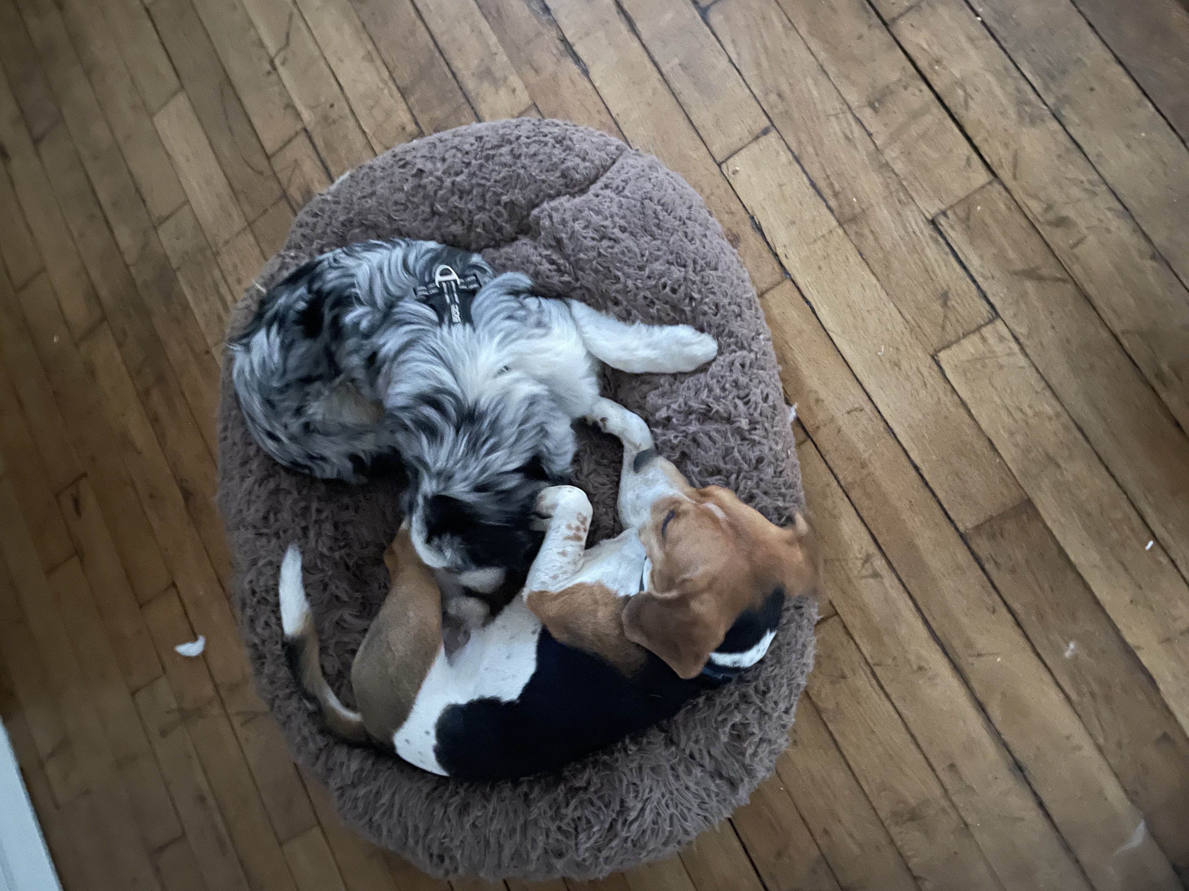 image-13