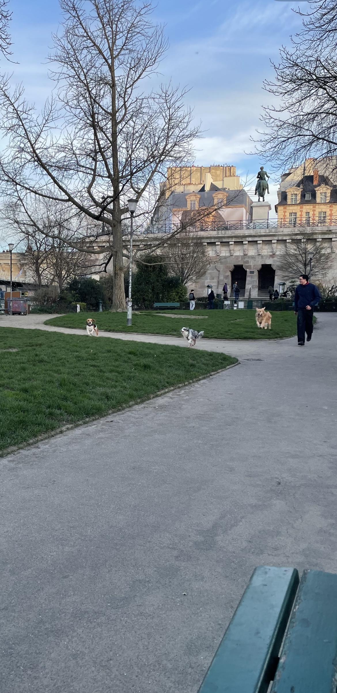 image-25