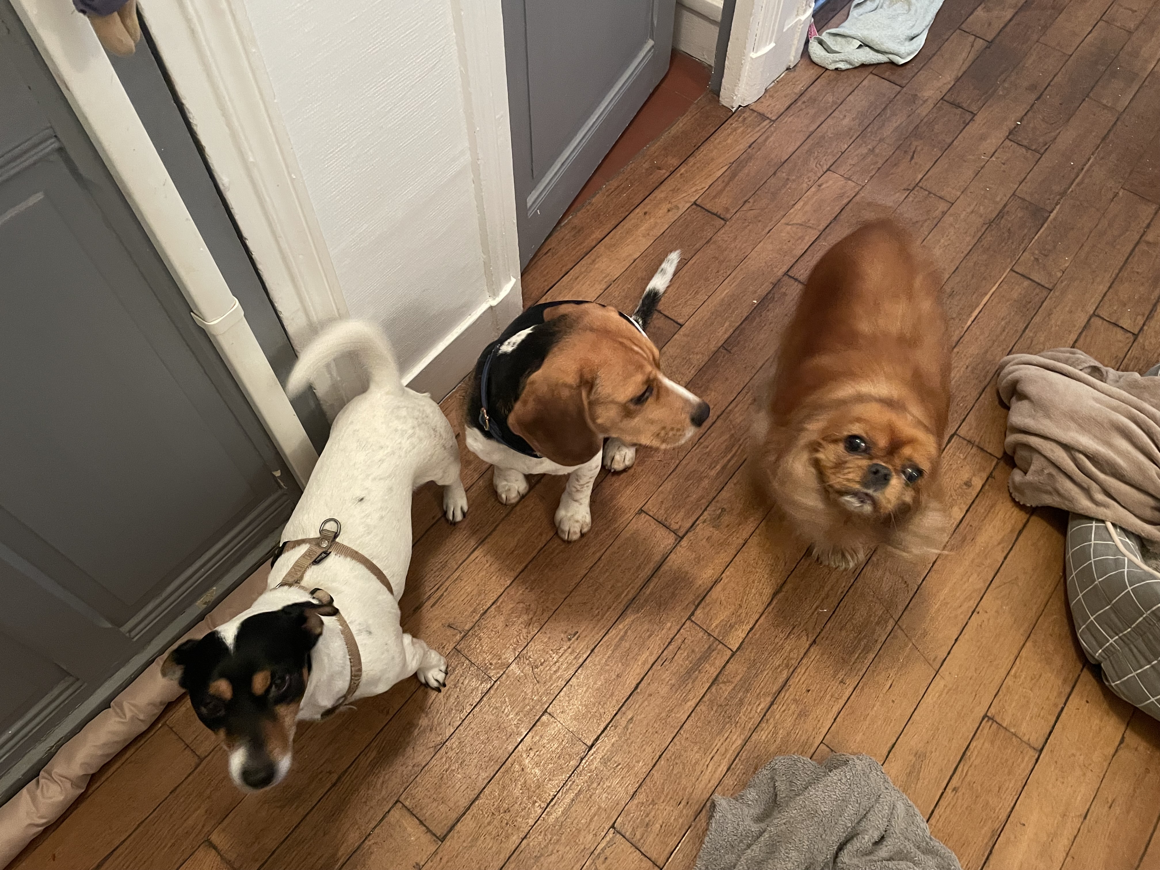 image-16