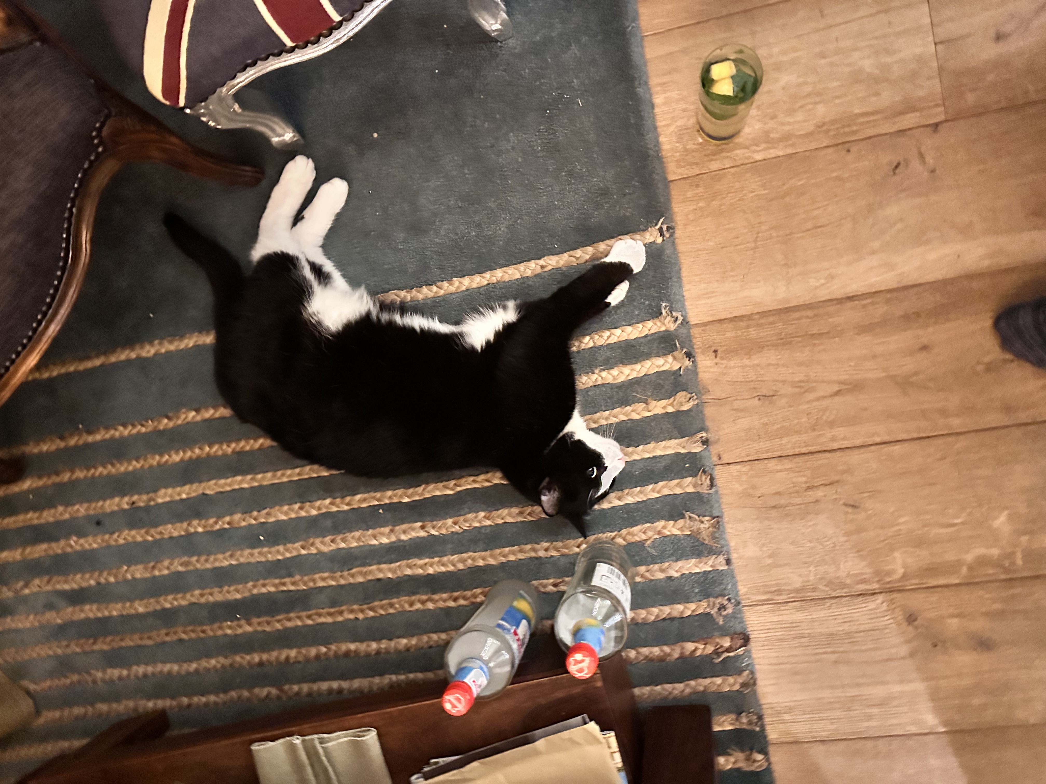 image-11
