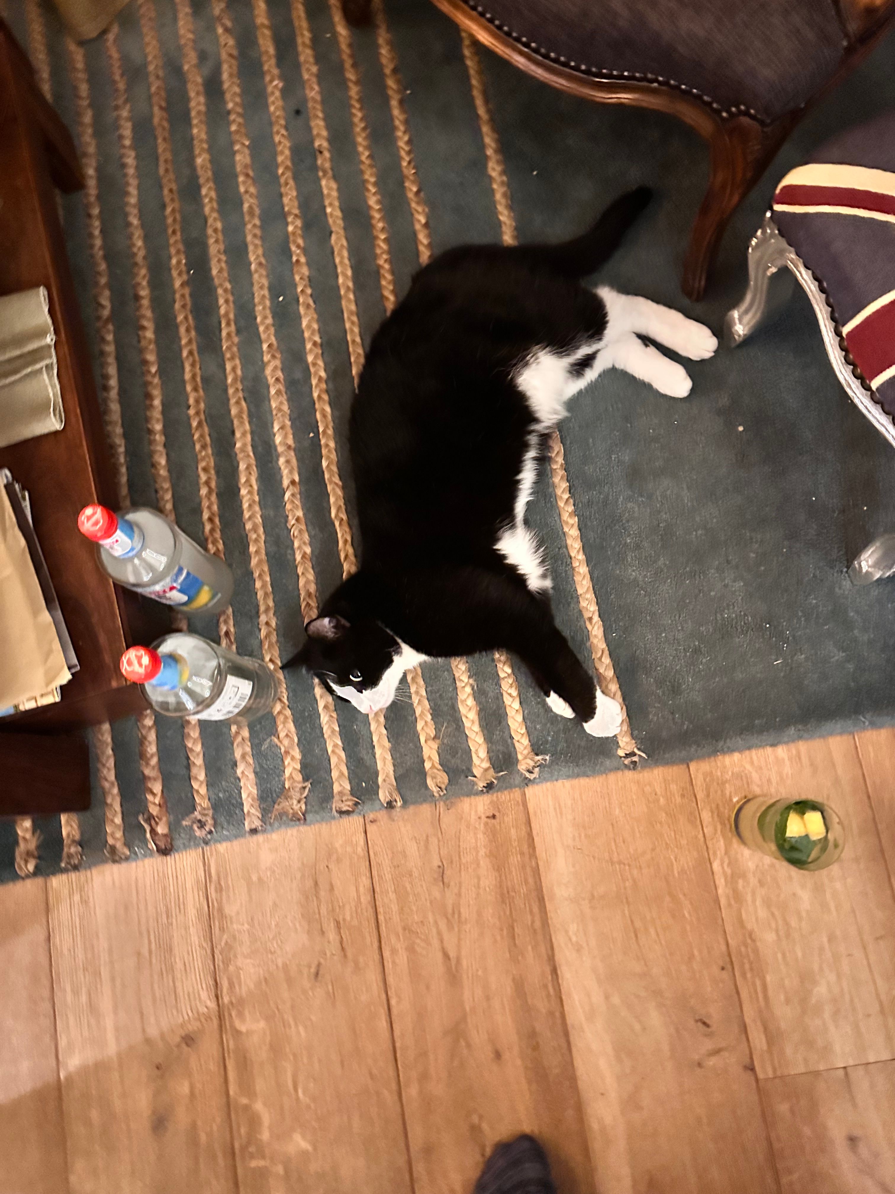 image-11