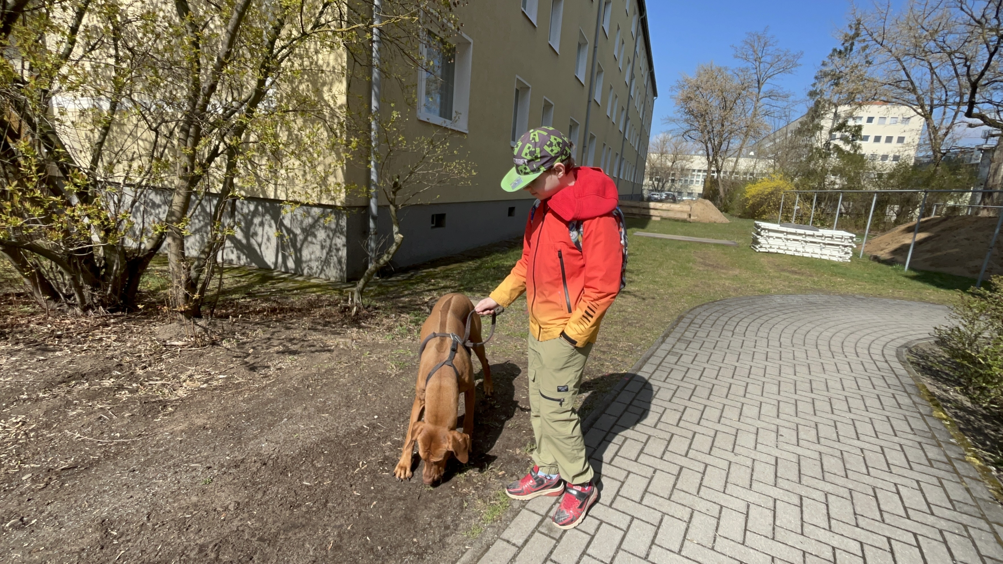 image-9